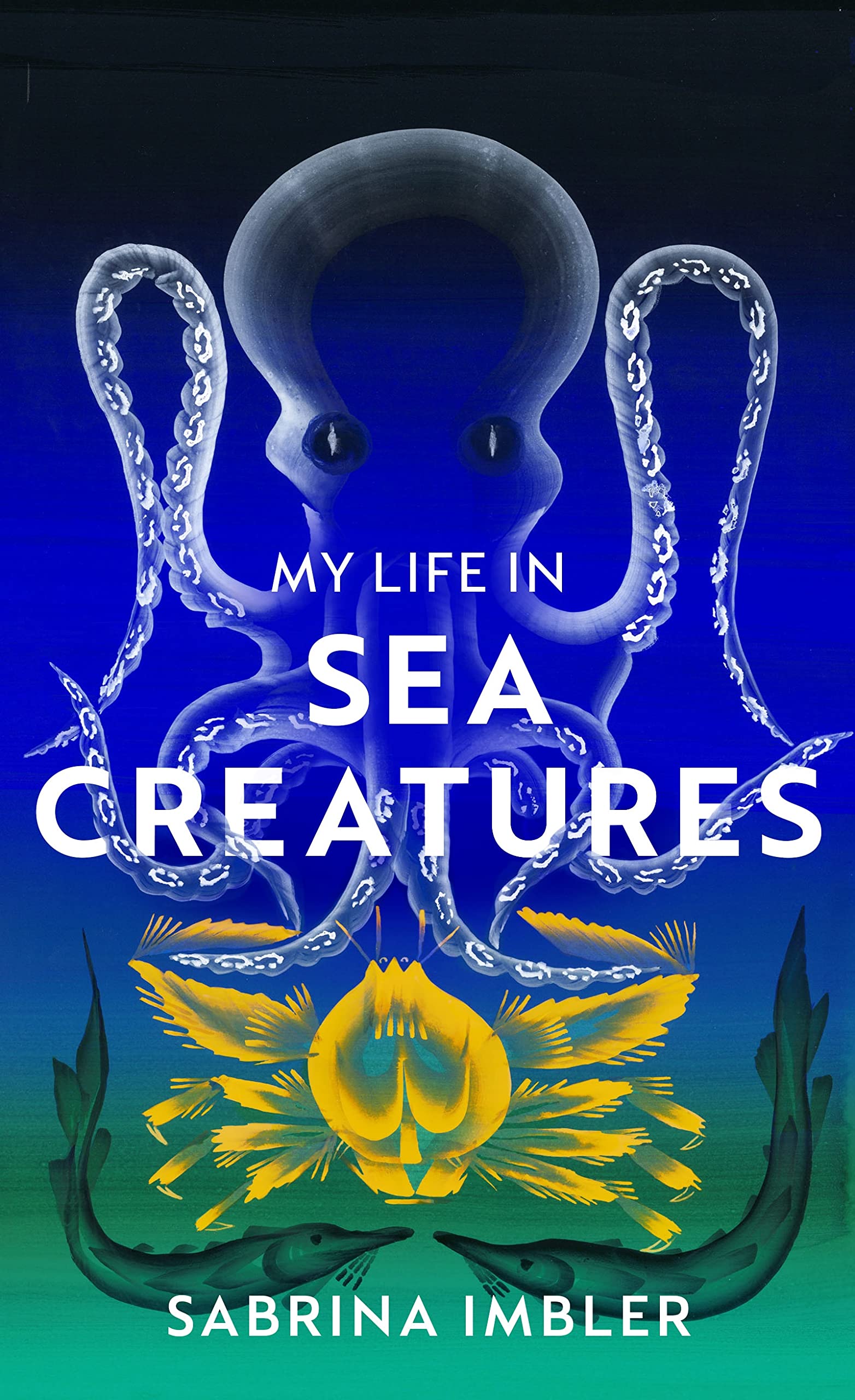 My Life in Sea Creatures: A young queer science writer’s reflections on identity and the ocean