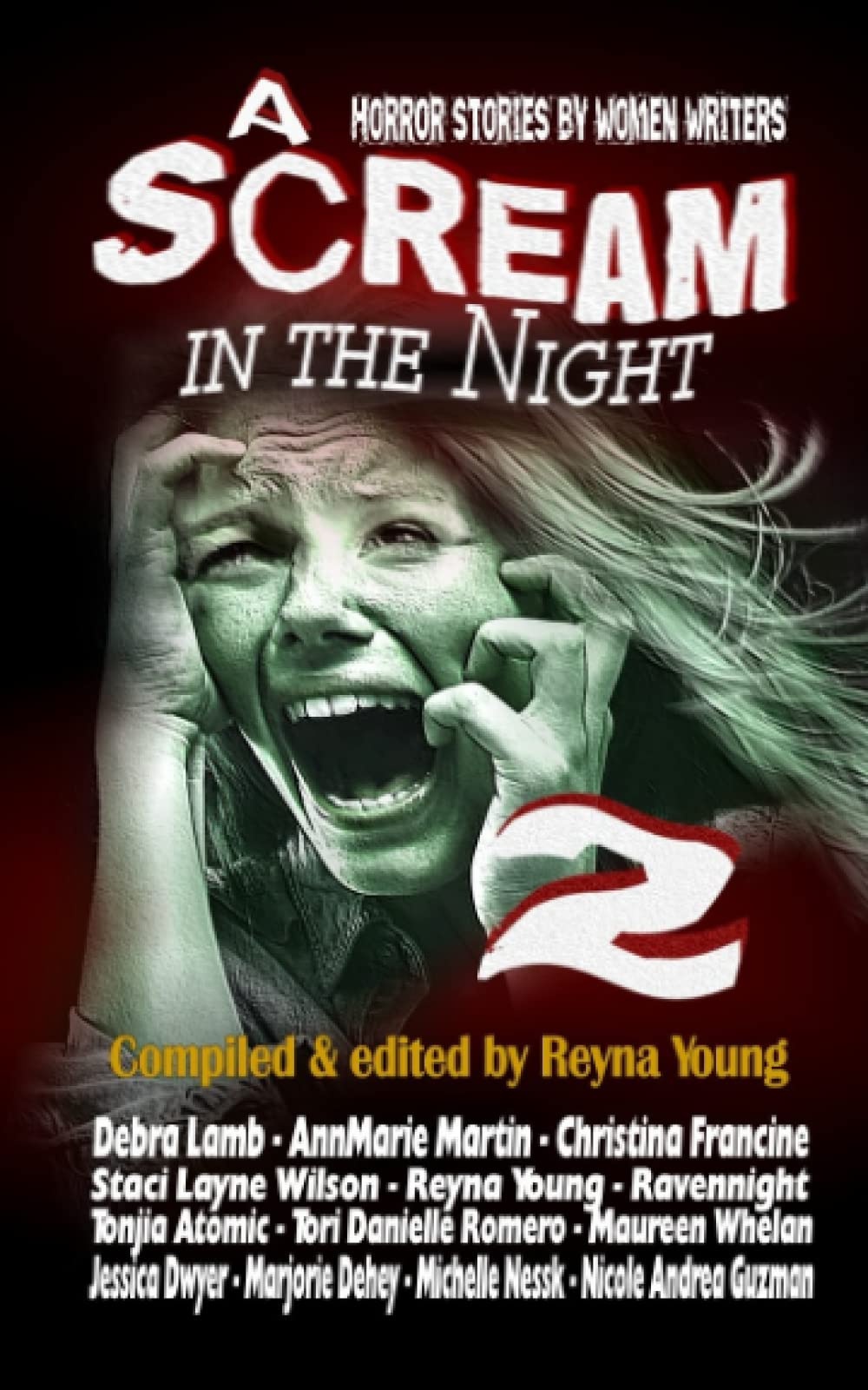 A Scream in the Night 2 book cover