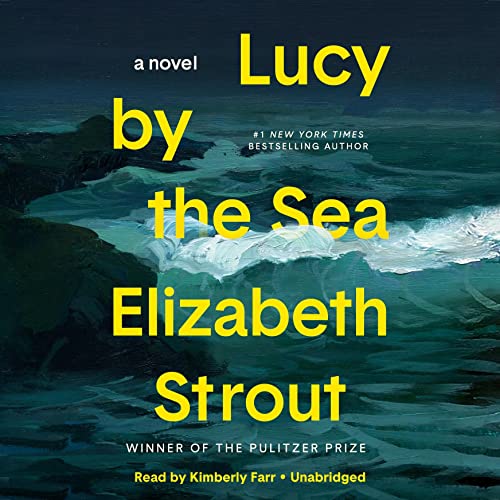 Lucy by the Sea (Amgash, #4)