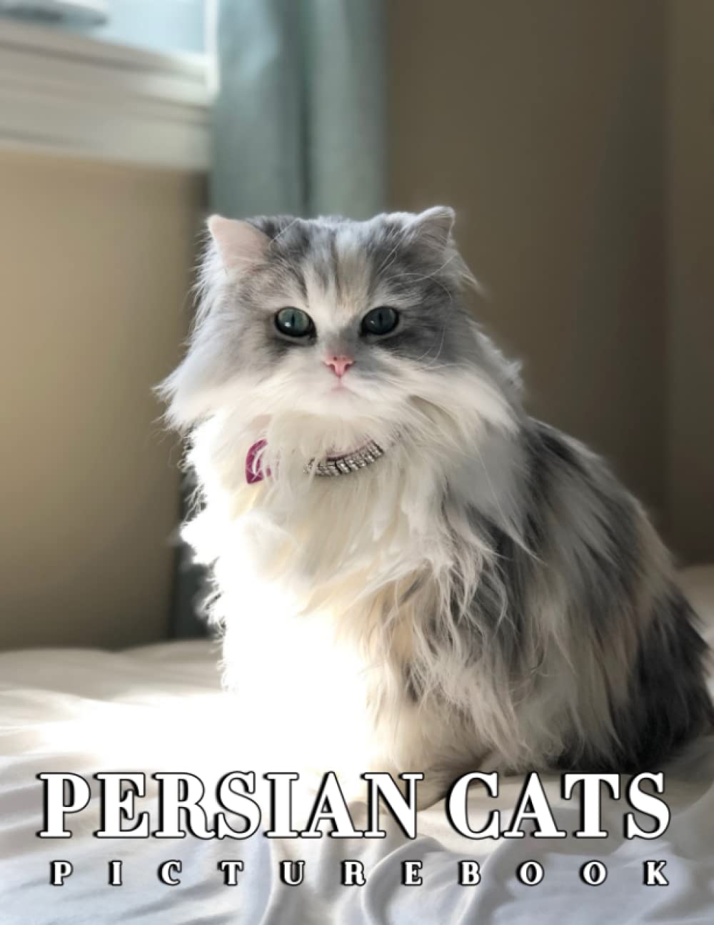 A Photo Book Of Persian Cats 20232024 Calendar Persian Cats With