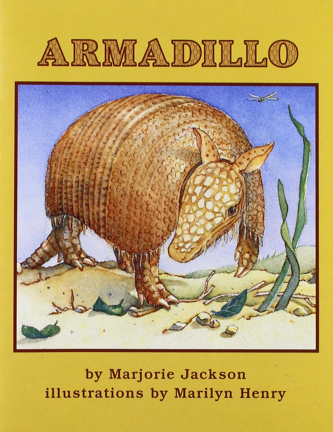 Armadillo Vocalizations A Complete Guide With Audio - 327zxxt