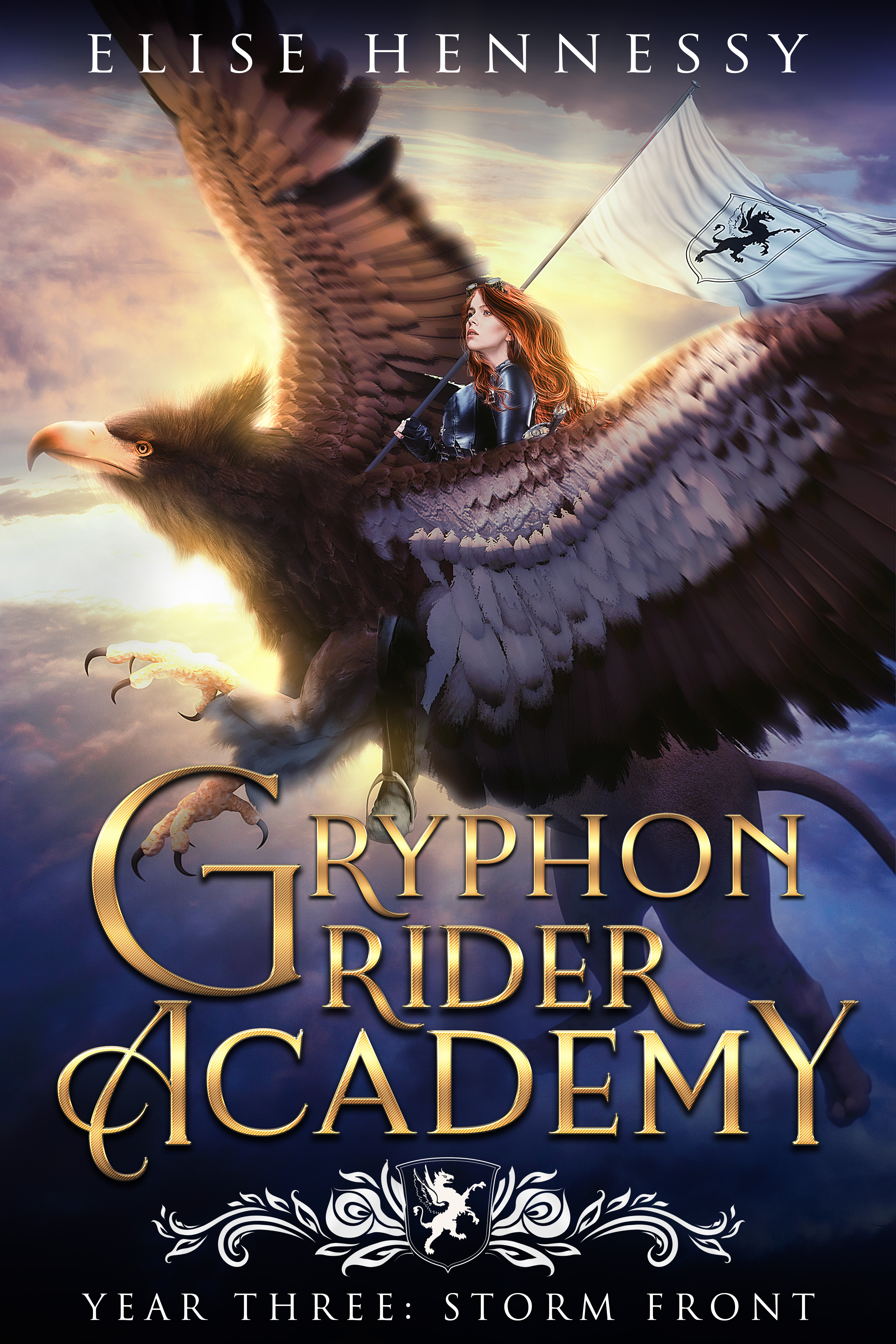 Gryphon Rider Academy book cover