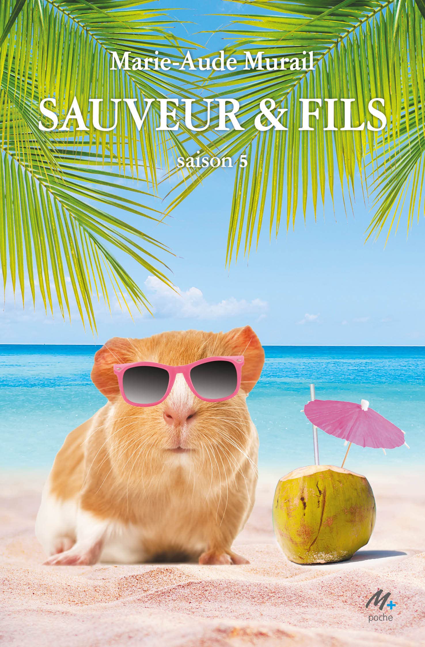 Sauveur & fils - Saison 5 book cover