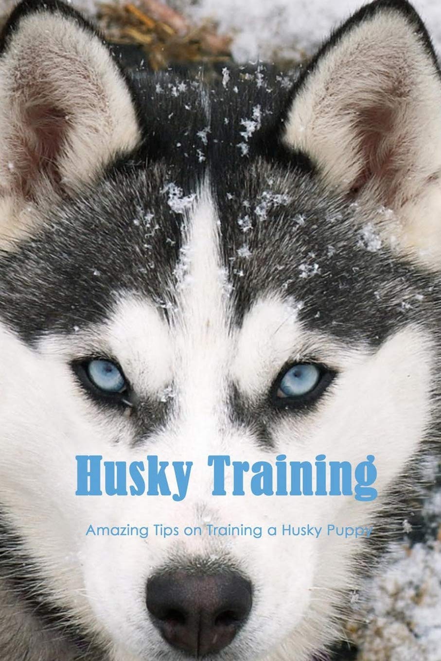 Husky Training Amazing Tips on Training a Husky Puppy Ultimate Book