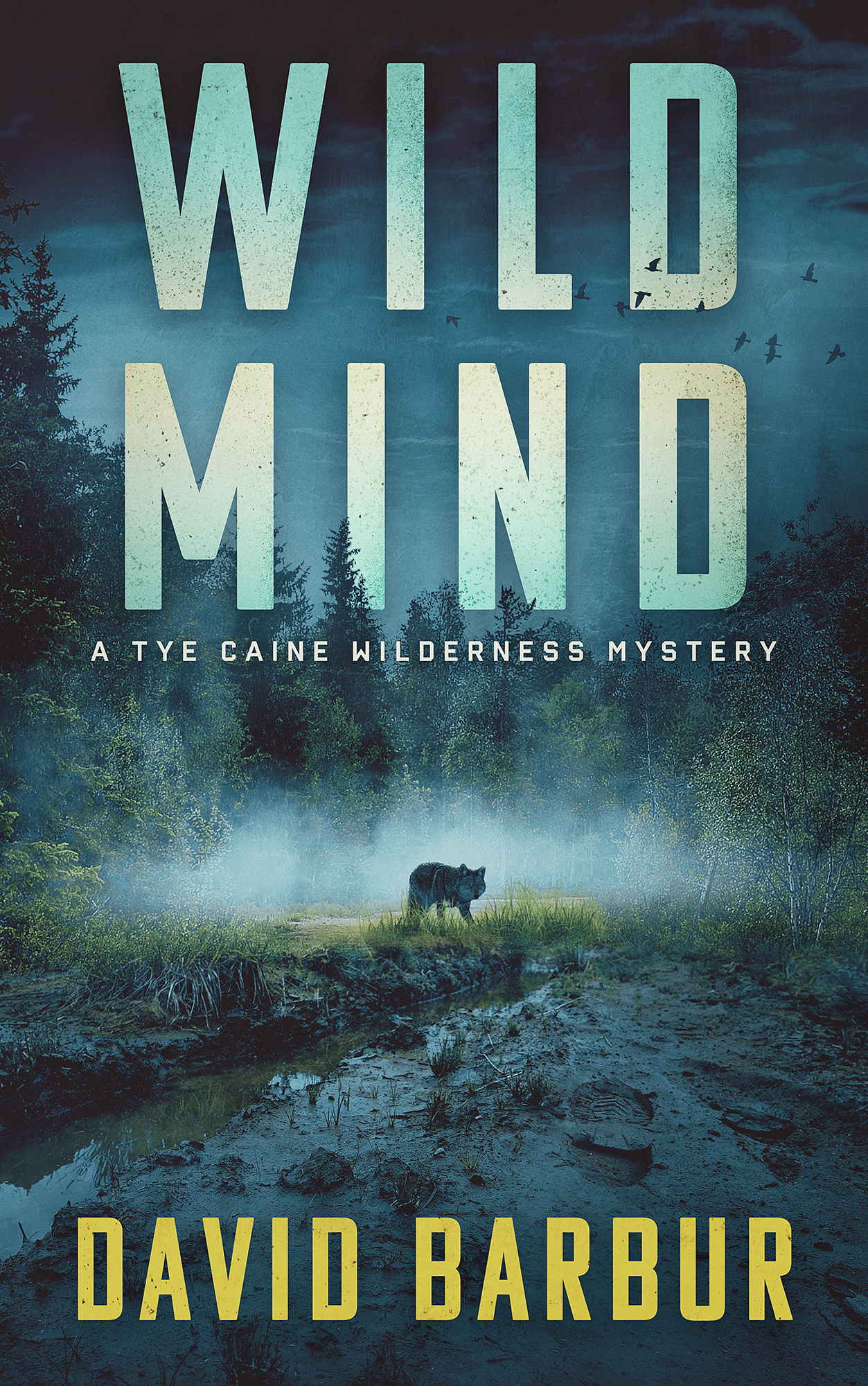 Tye Caine Wilderness Mysteries book cover 2