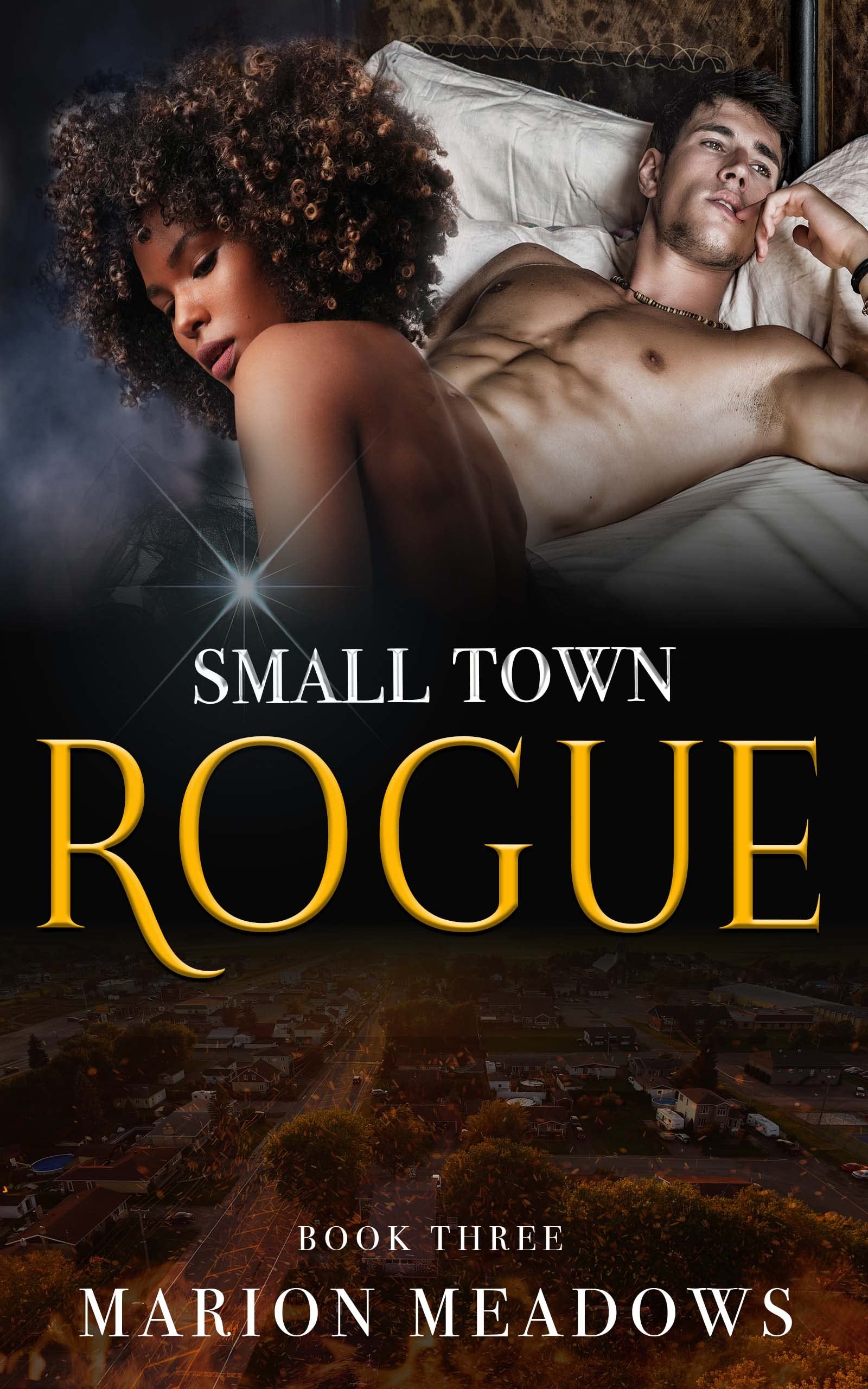 Small Town Rogue