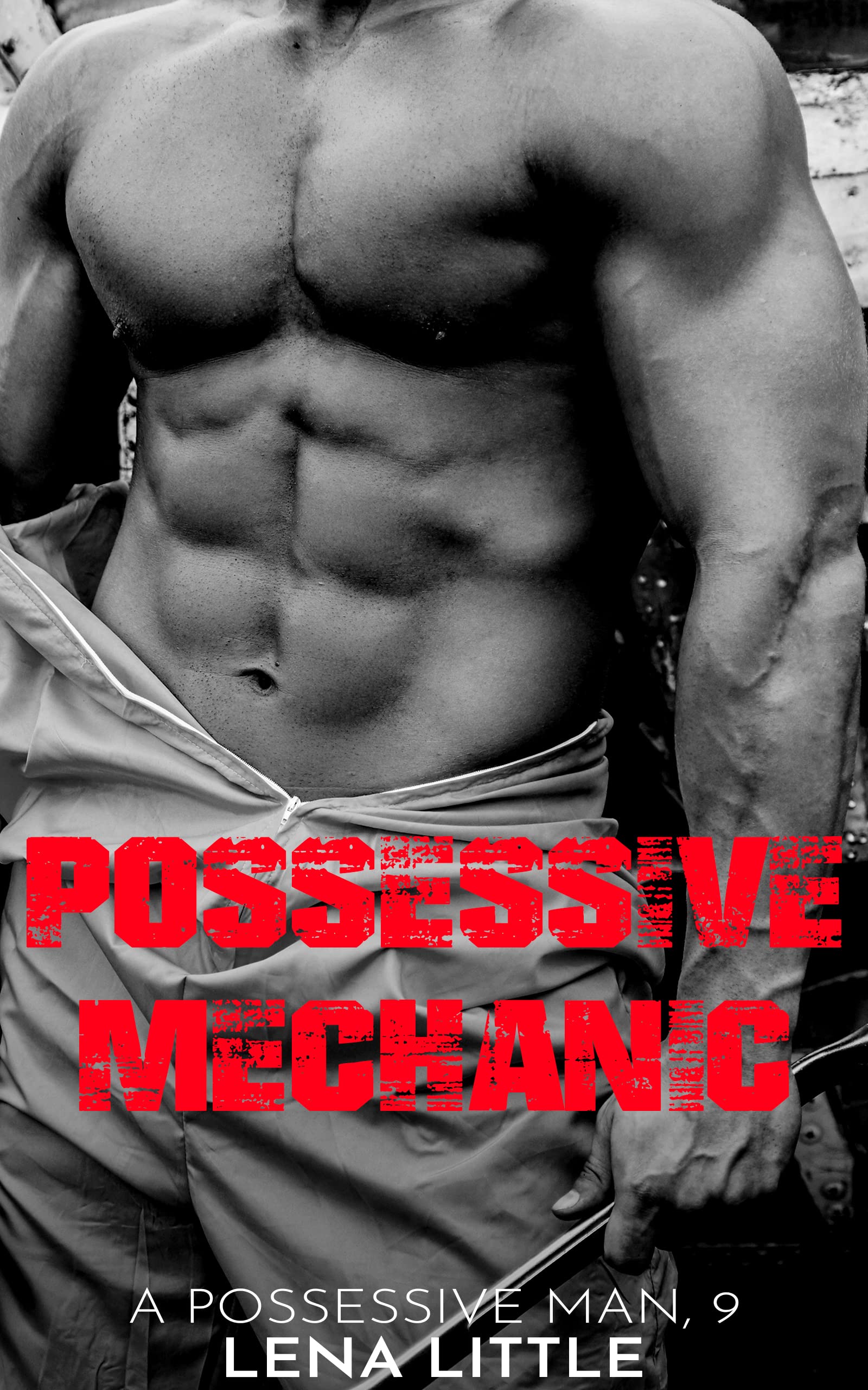 Possessive Mechanic