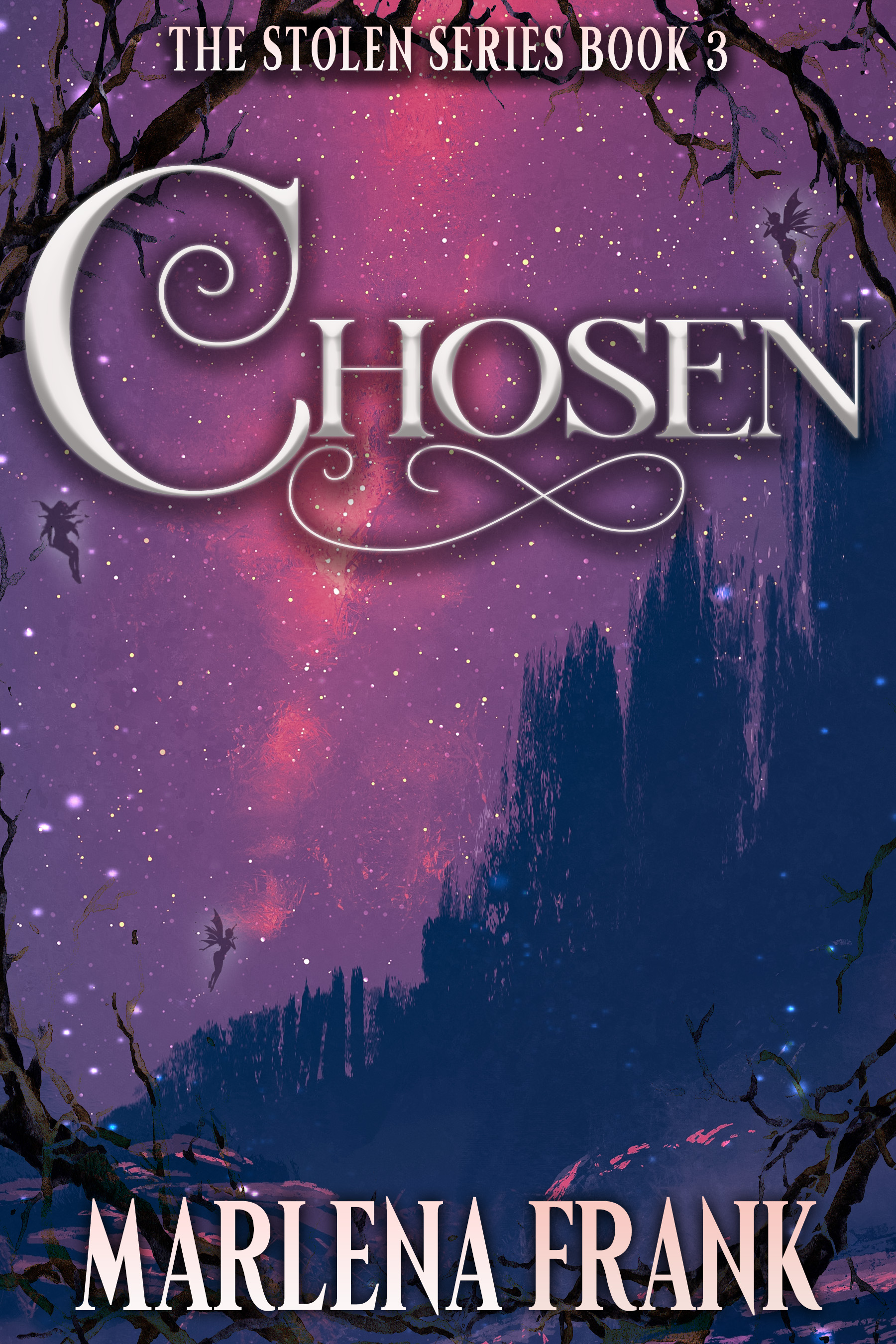 The Stolen Series book cover 2