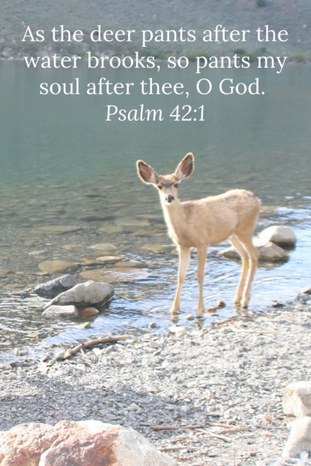 They Watched A Deer Pants For Water What Happened Next Will Astound You - 2s9idql
