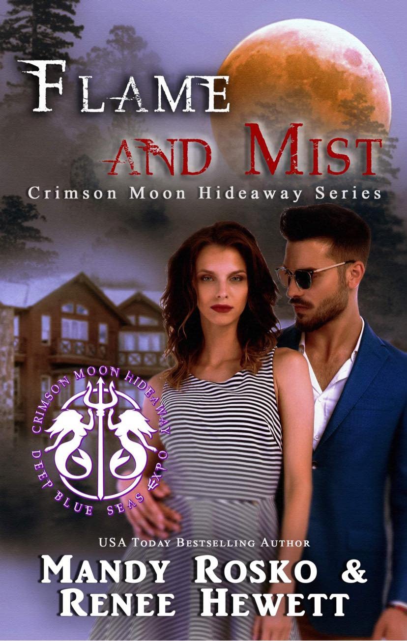 Flame and Mist book cover