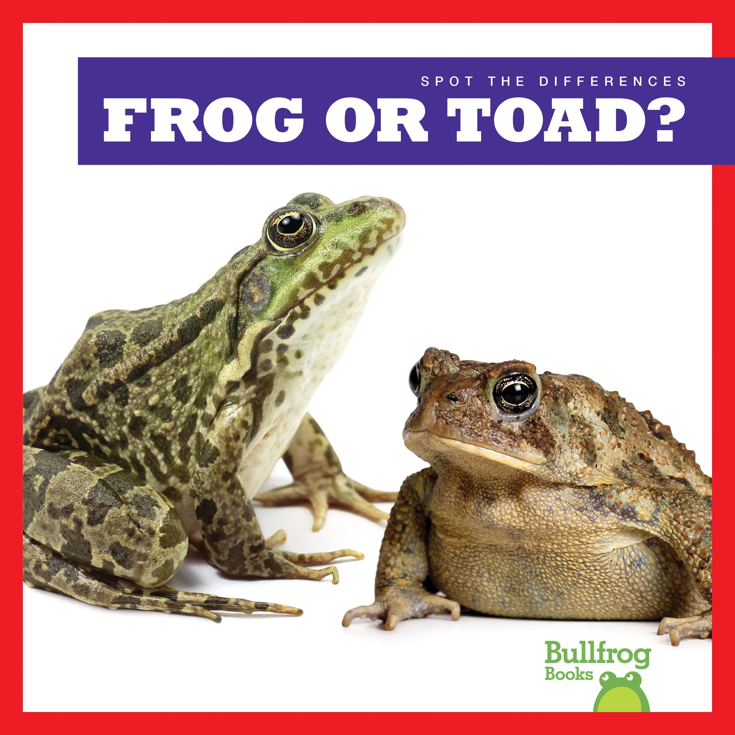 Frog or Toad? (Bullfrog Books Spot the Differences) by Jamie Rice