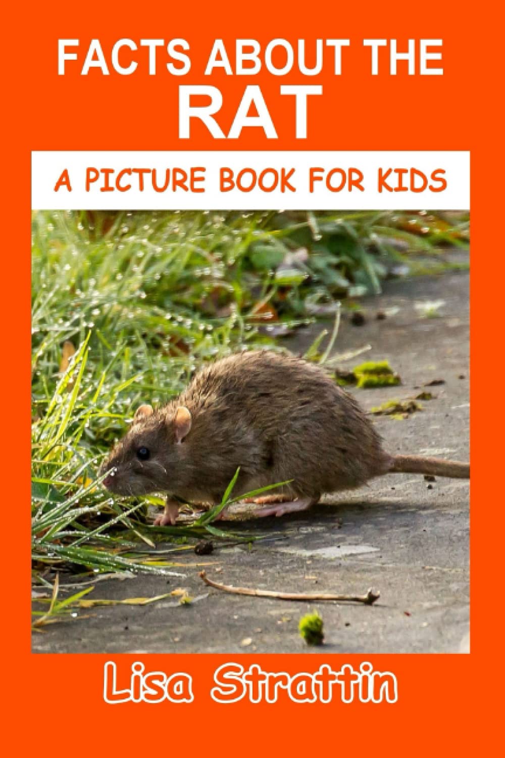 facts-about-the-rat-a-picture-book-for-kids-by-lisa-strattin-goodreads