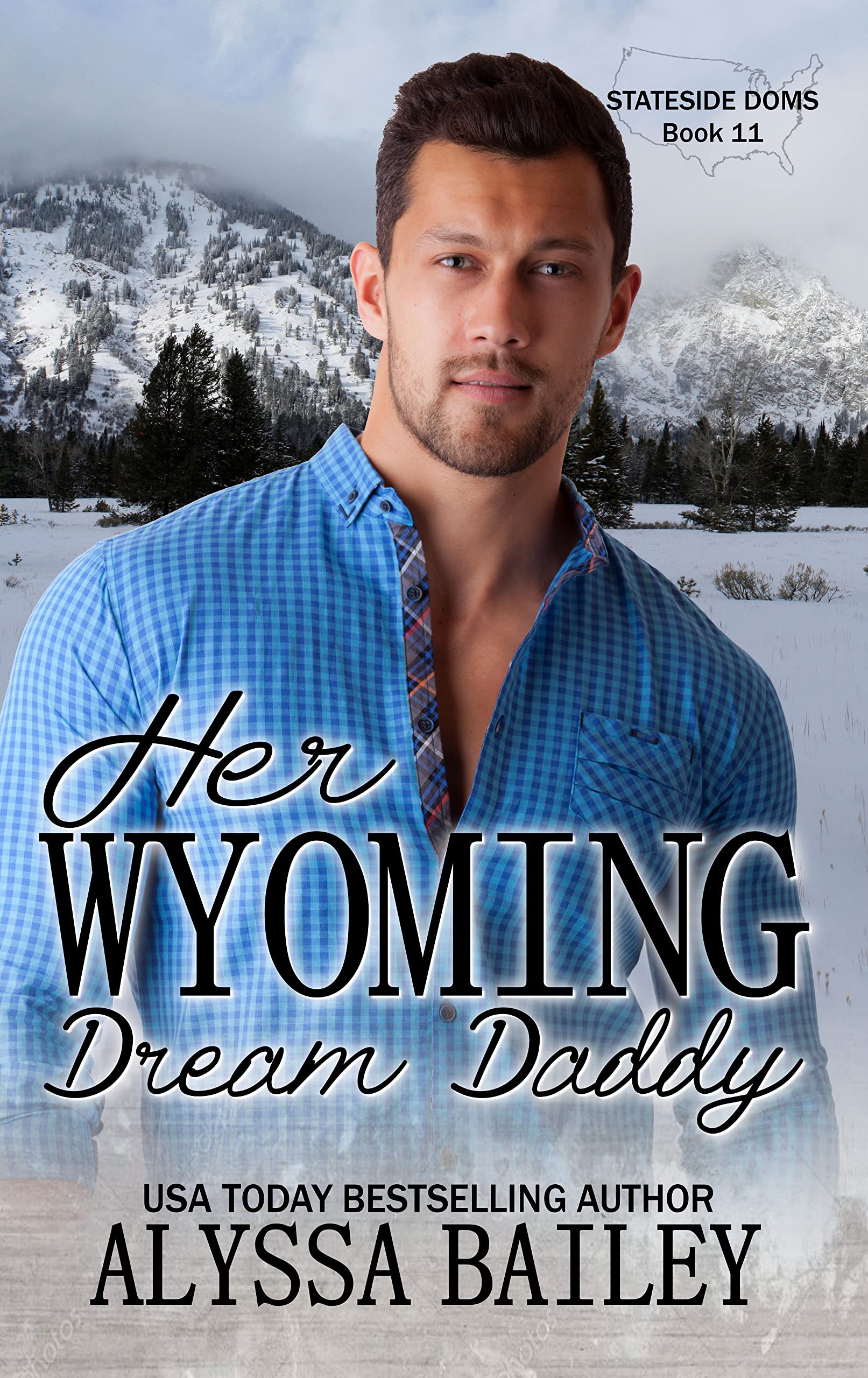 Her Wyoming Dream Daddy book cover