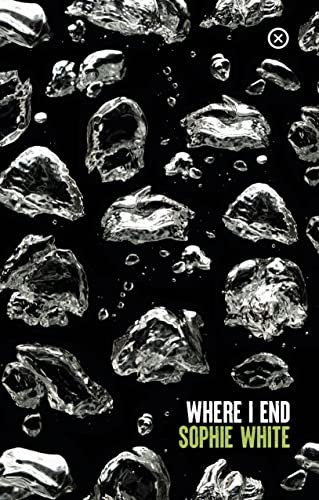 Where I End book cover