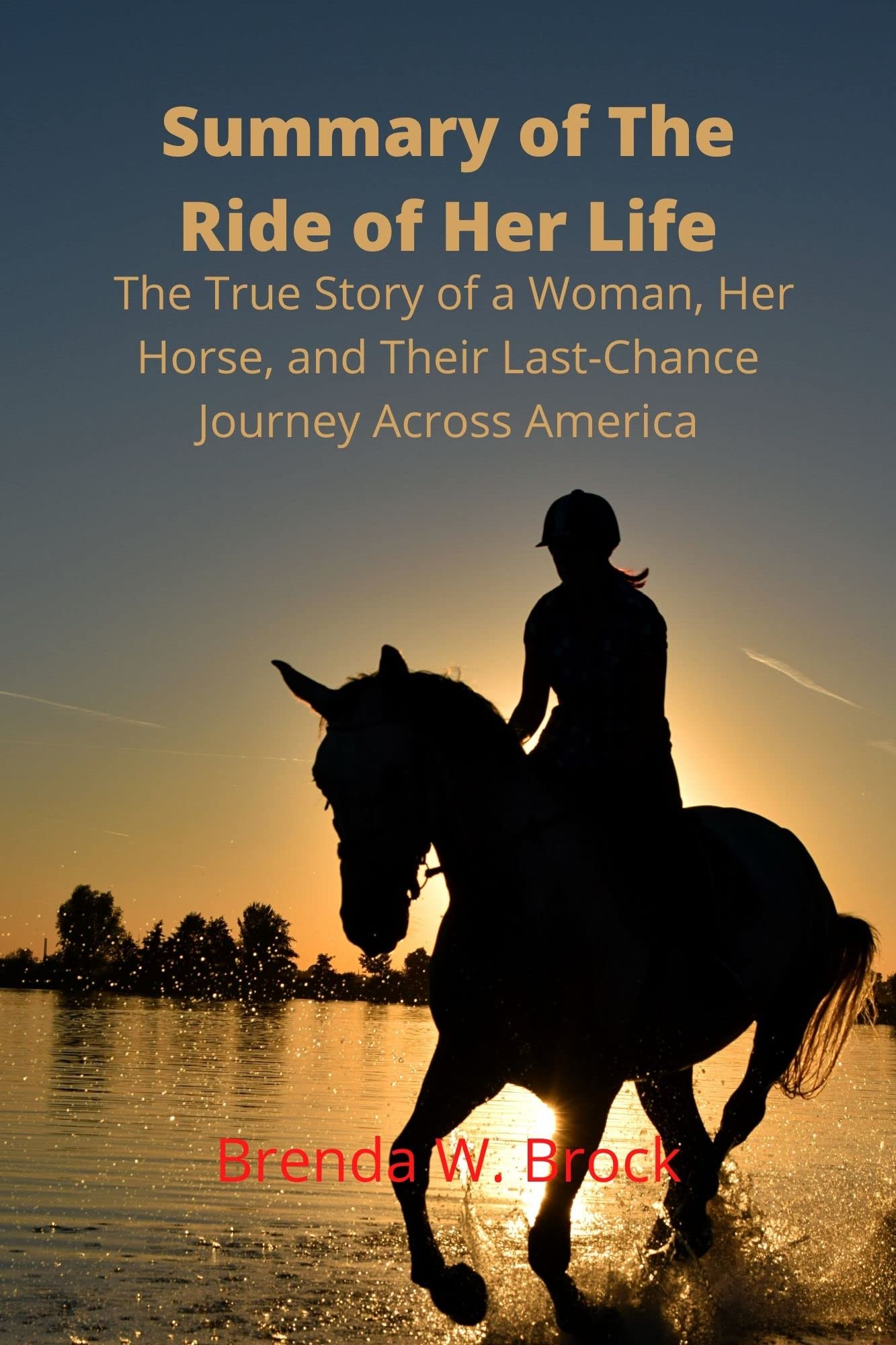 Summary of The Ride of Her Life The True Story of a Woman, Her Horse