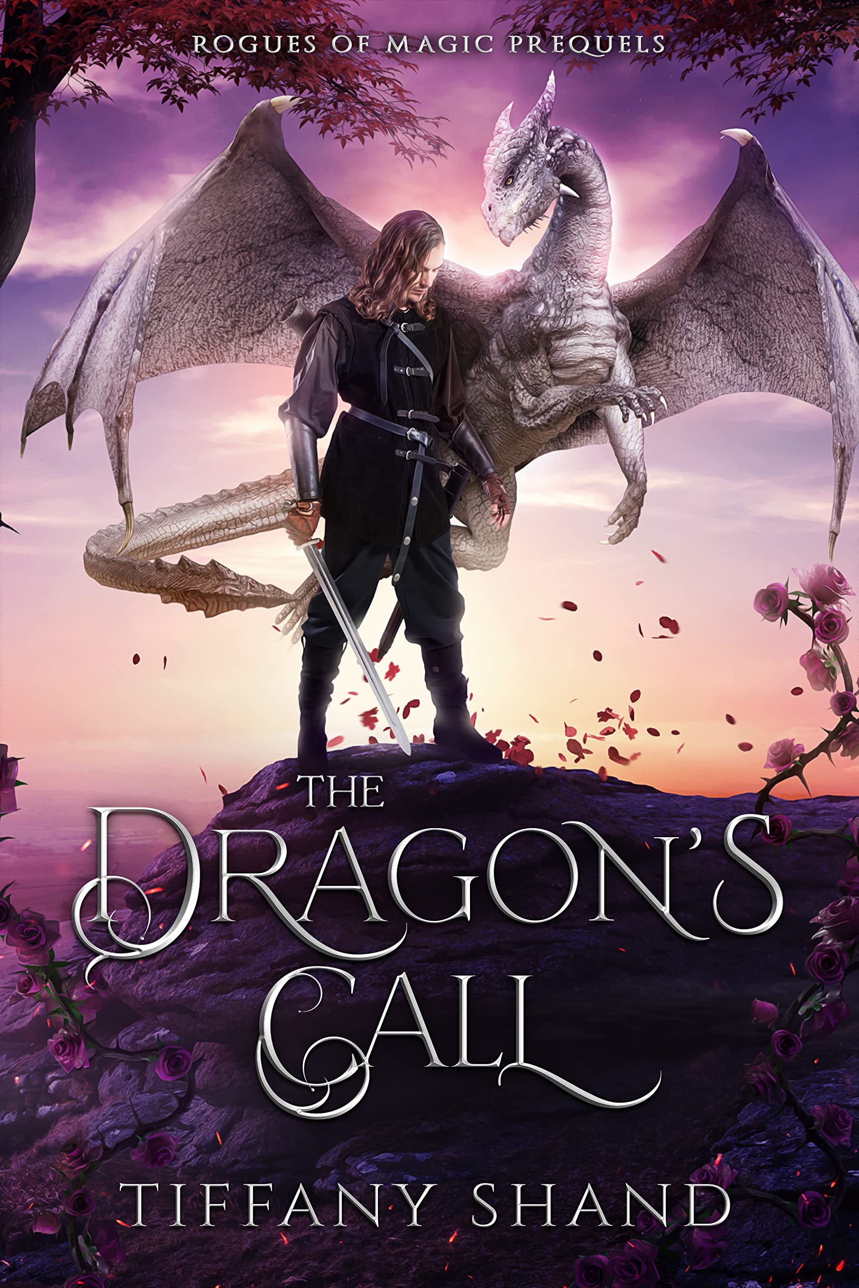 Rogues ofMagic book cover 1
