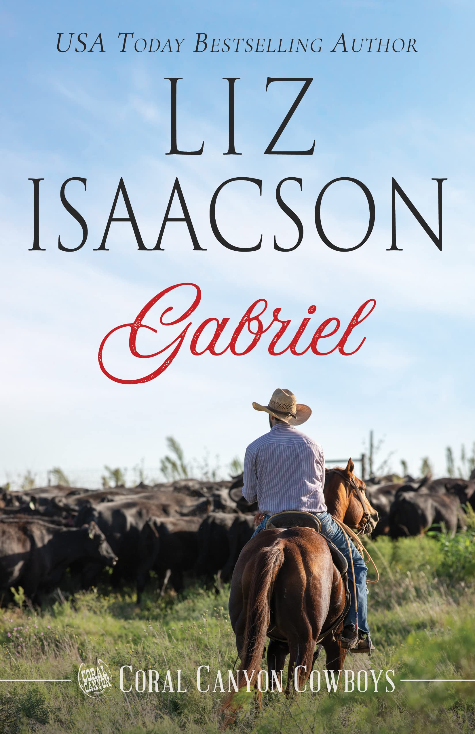Gabriel book cover