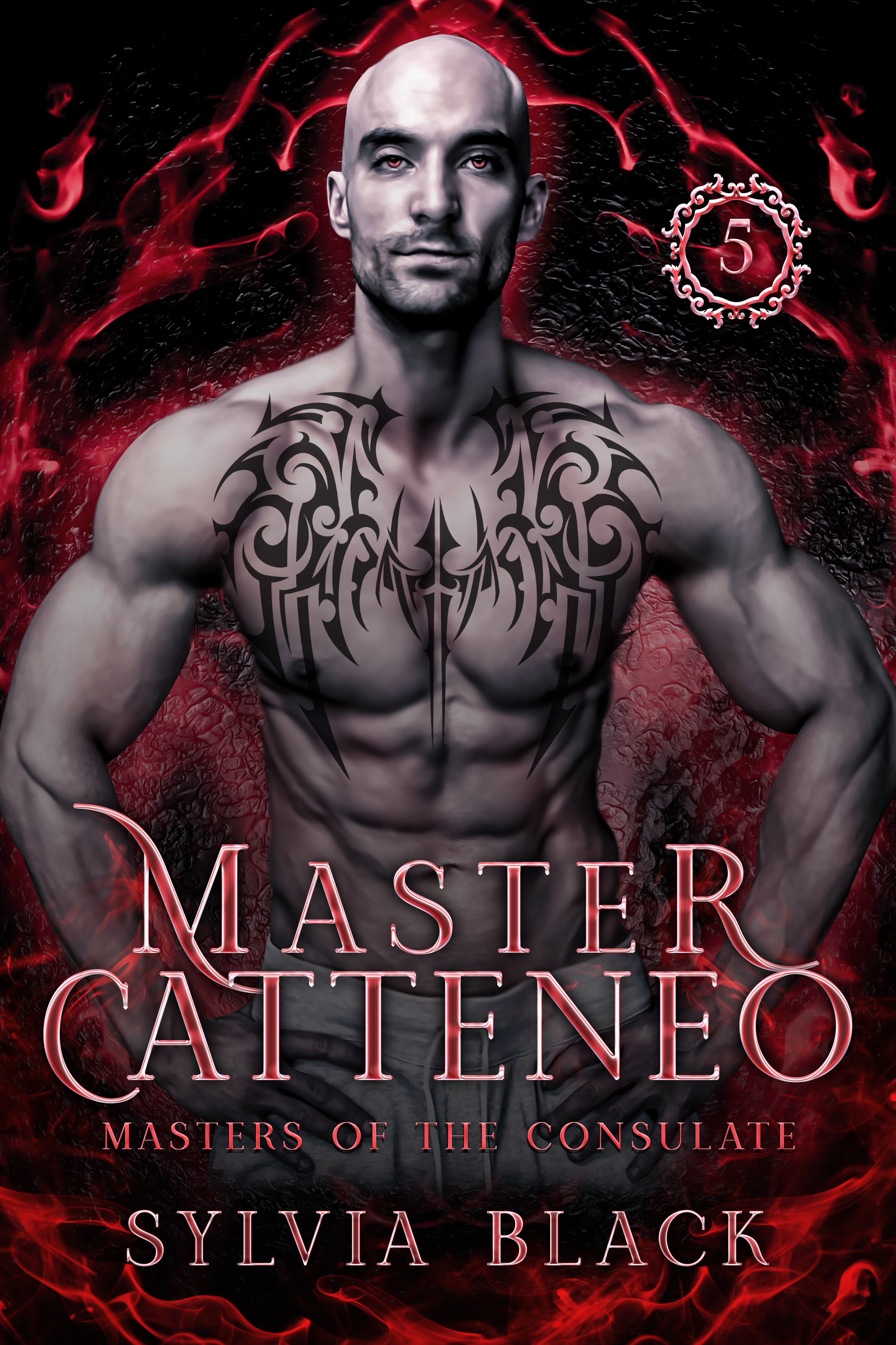 Master Catteneo book cover