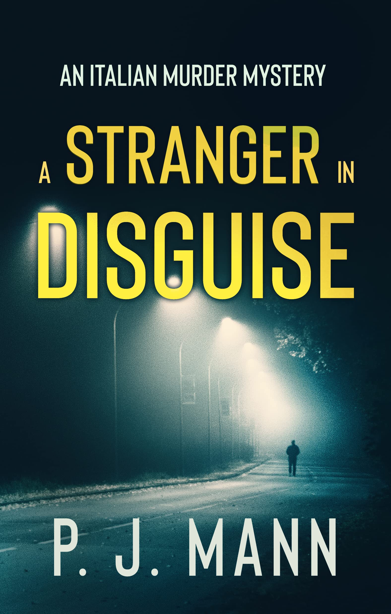 A Stranger in Disguise