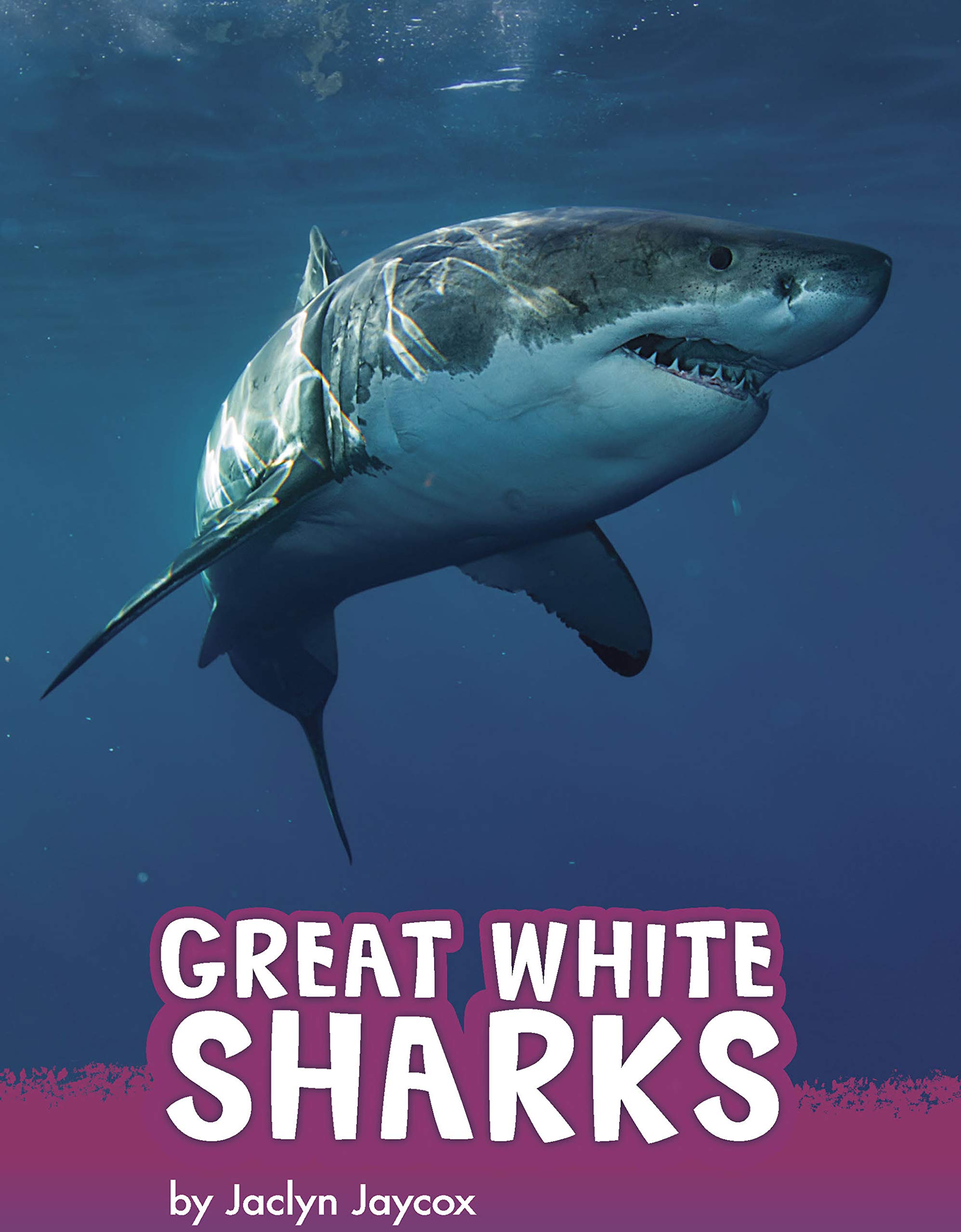 Great White Sharks (Animals) by Jaclyn Jaycox | Goodreads