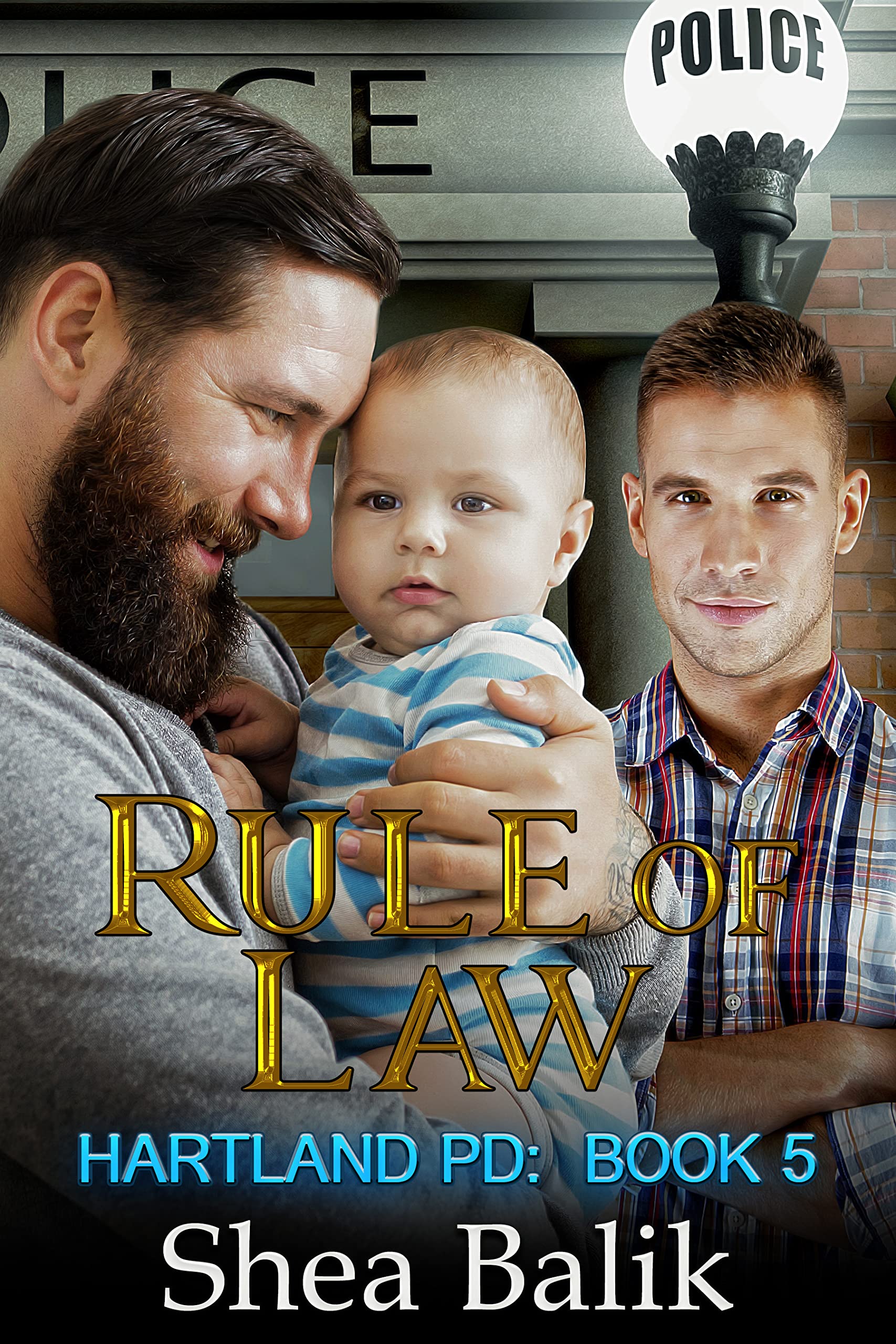 Rule of Law book cover