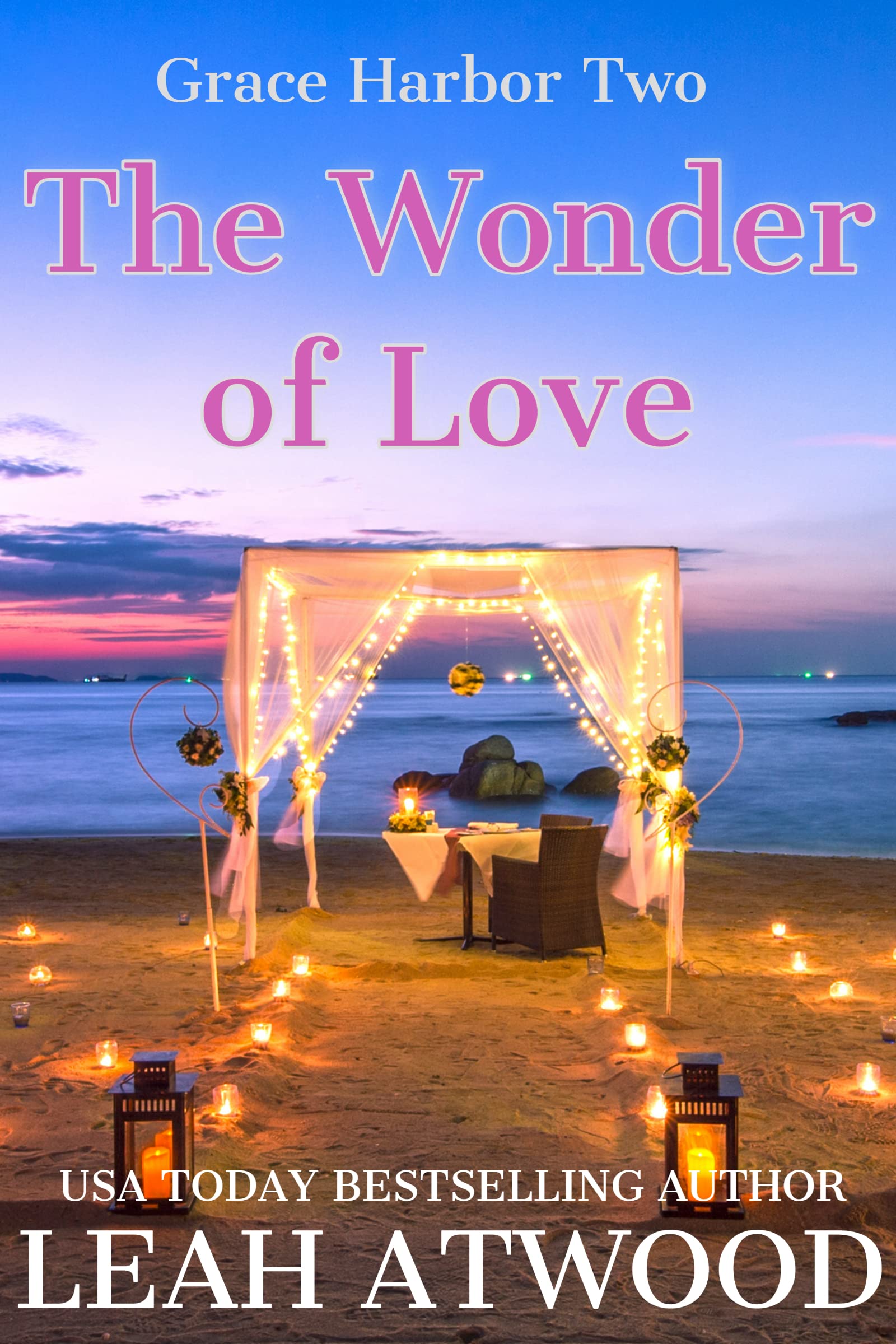 The Wonder of Love book cover