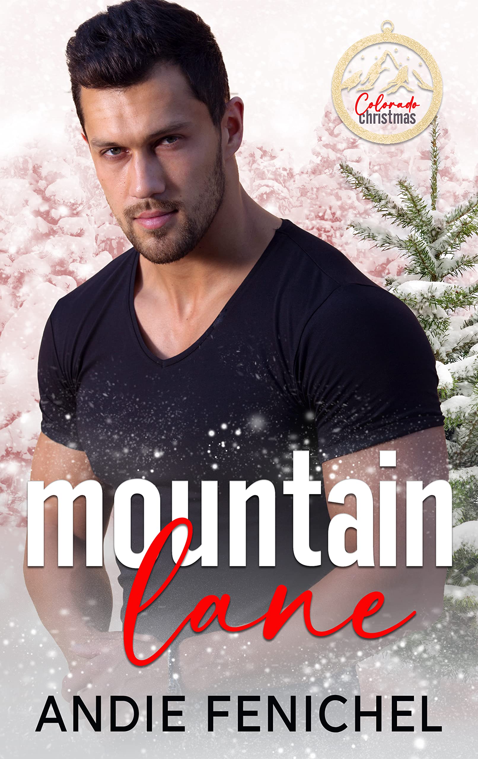 Mountain Lane book cover