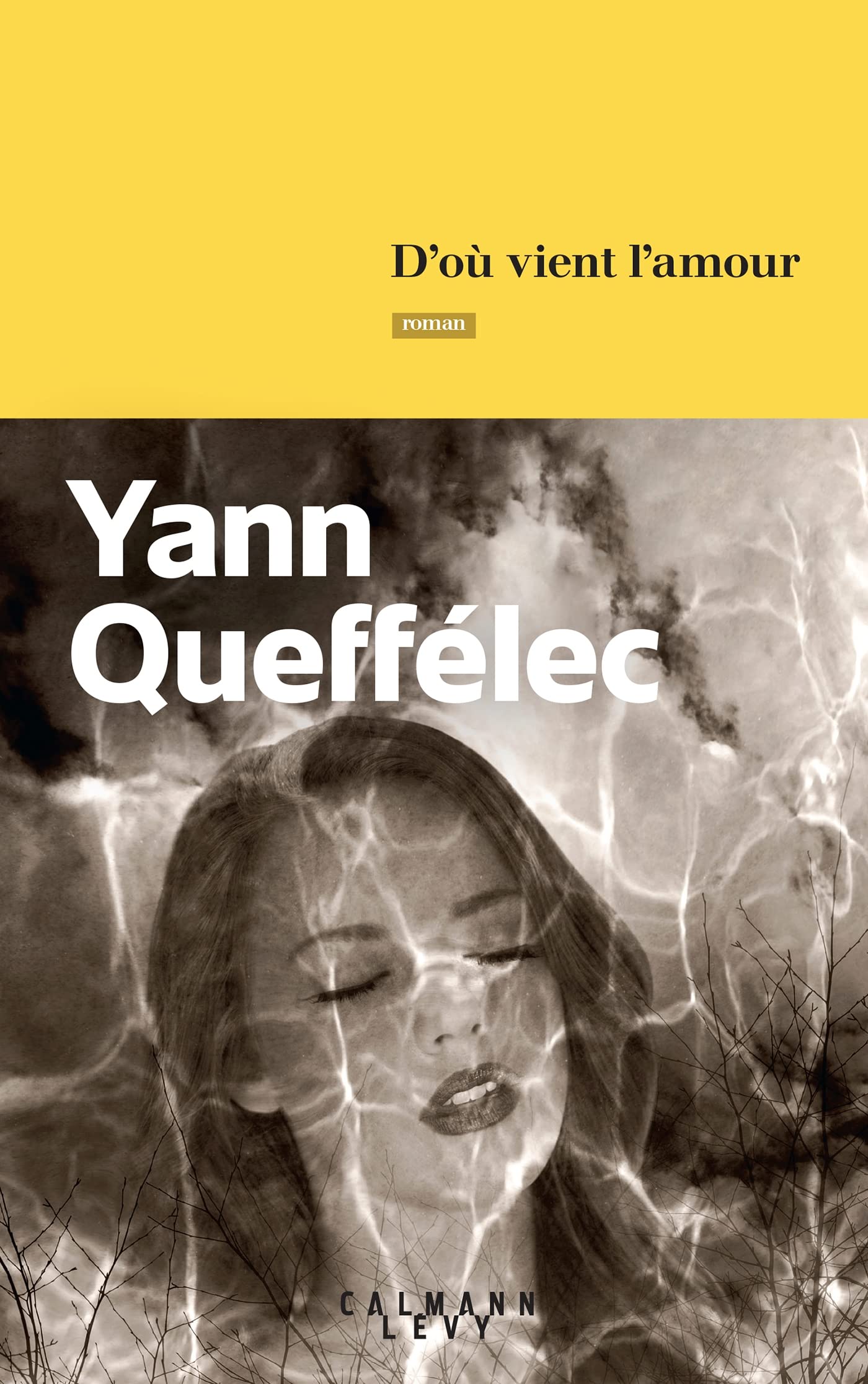 D'où vient l'amour (Littérature)