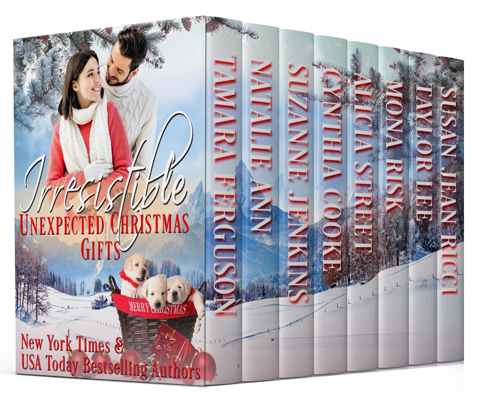 Irresistible book cover