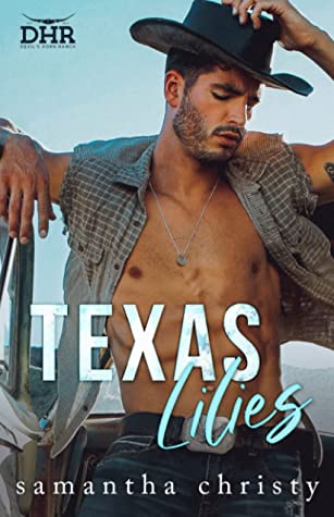 Devil's Horn Ranch book cover 2