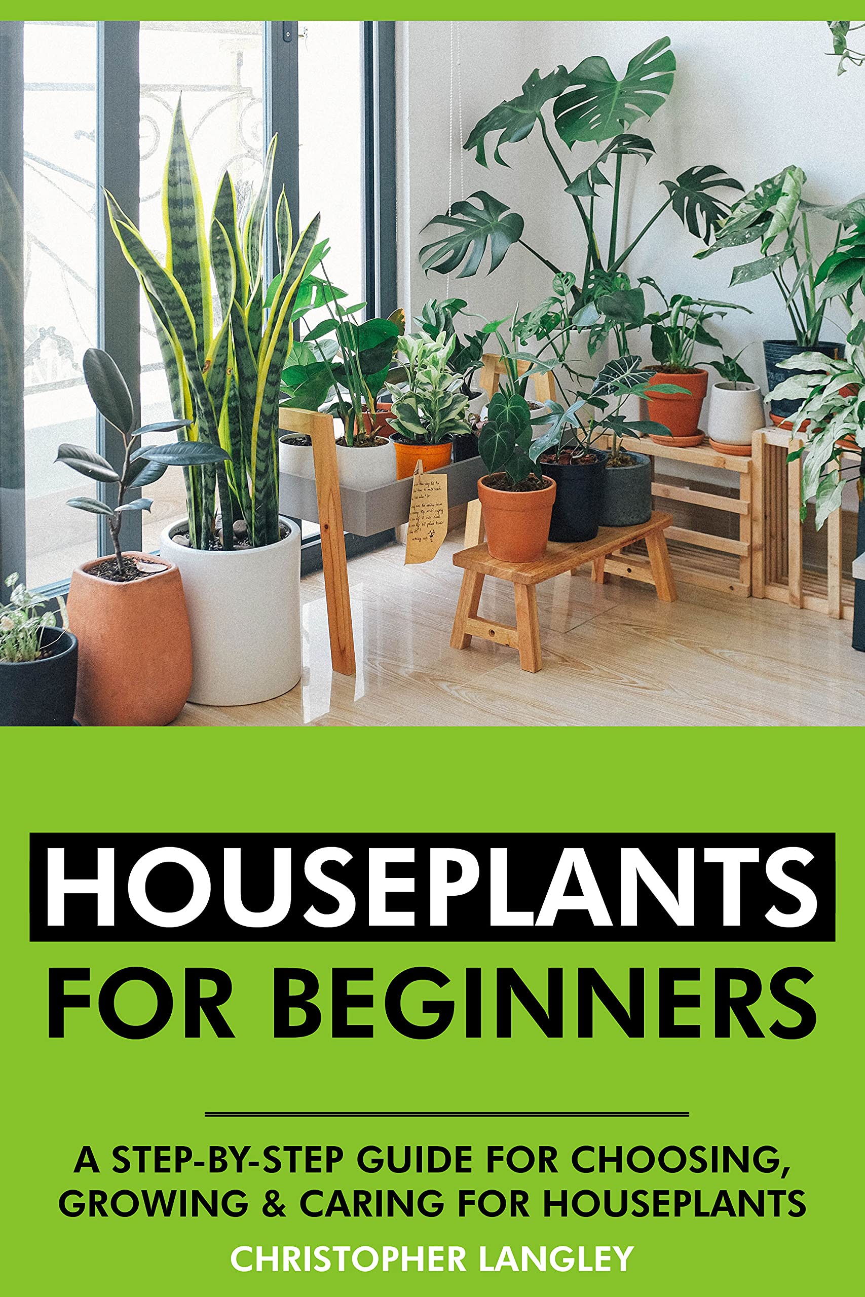 Houseplants for Beginners A StepByStep Guide to Choosing, Growing