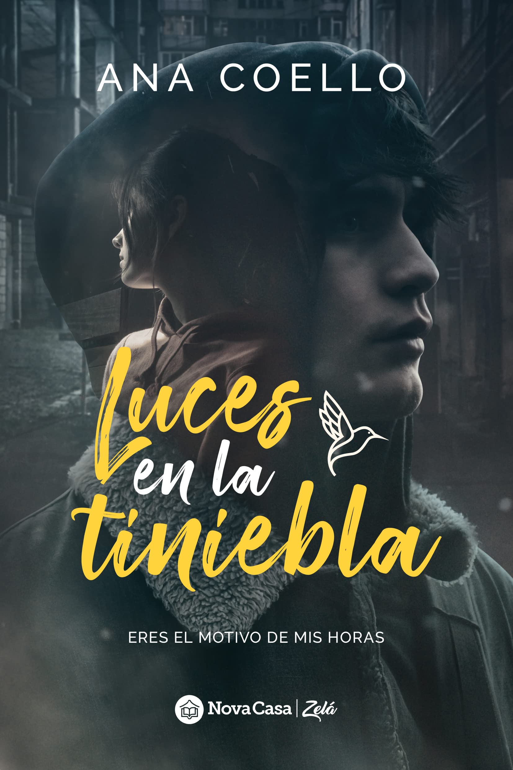 Luces en la tiniebla book cover