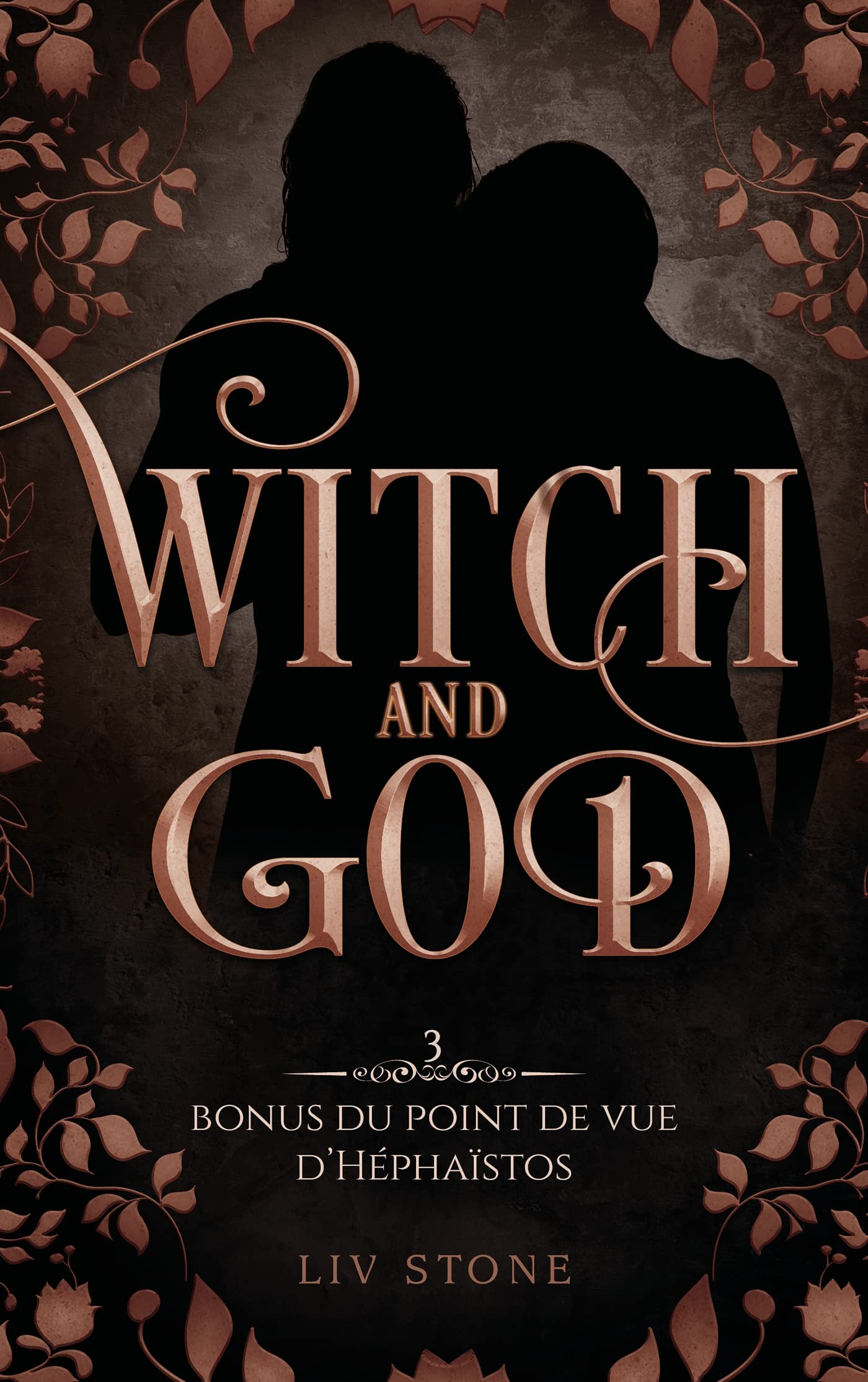 Bonus du point de vue d'Héphaïstos book cover