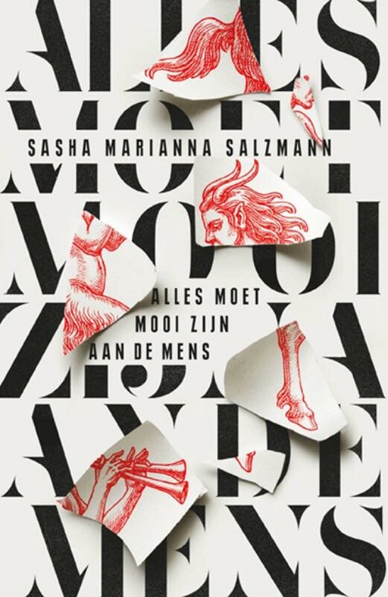 Alles moet mooi zijn aan de mens book cover
