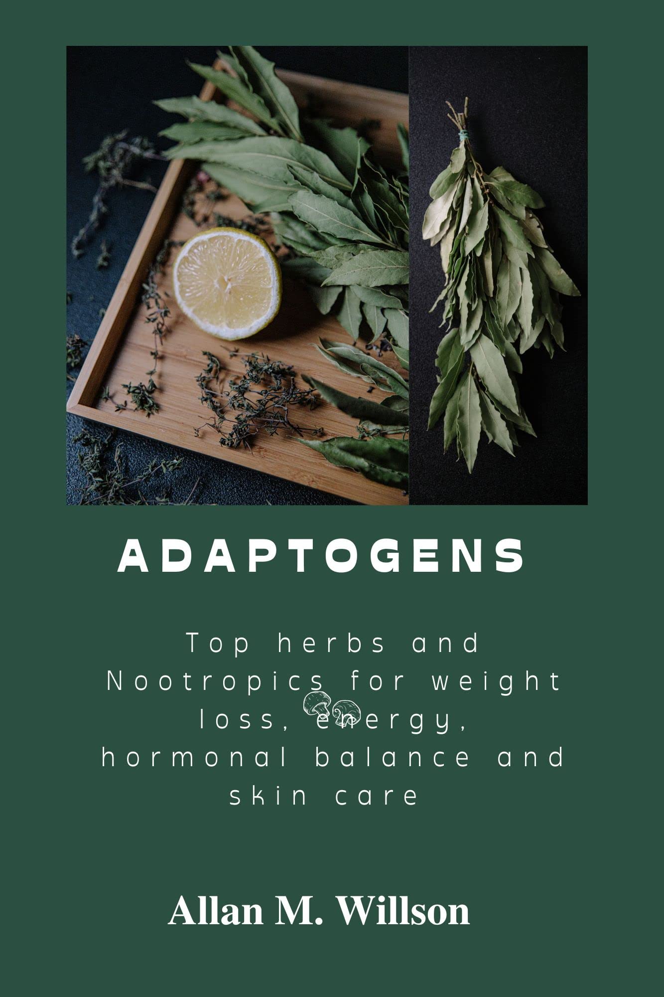 Adaptogens Top herbs and Nootropics for weight loss, energy, hormonal
