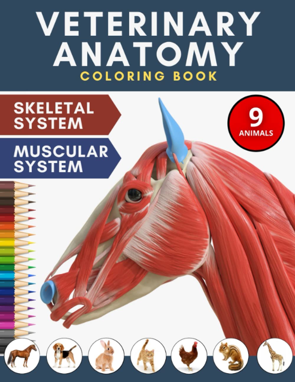 Printable Veterinary Anatomy Coloring Pages