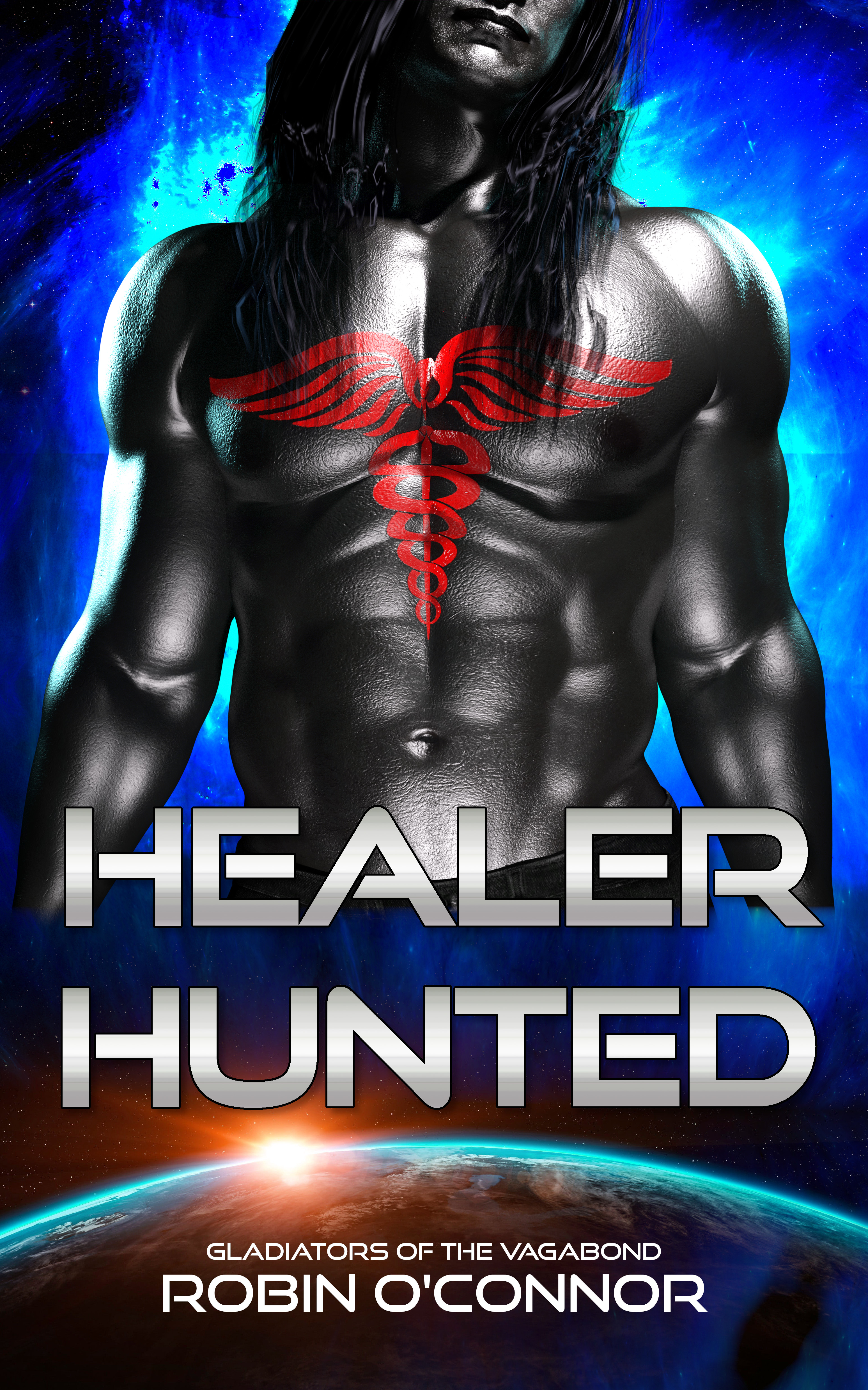 Healer Hunted book cover