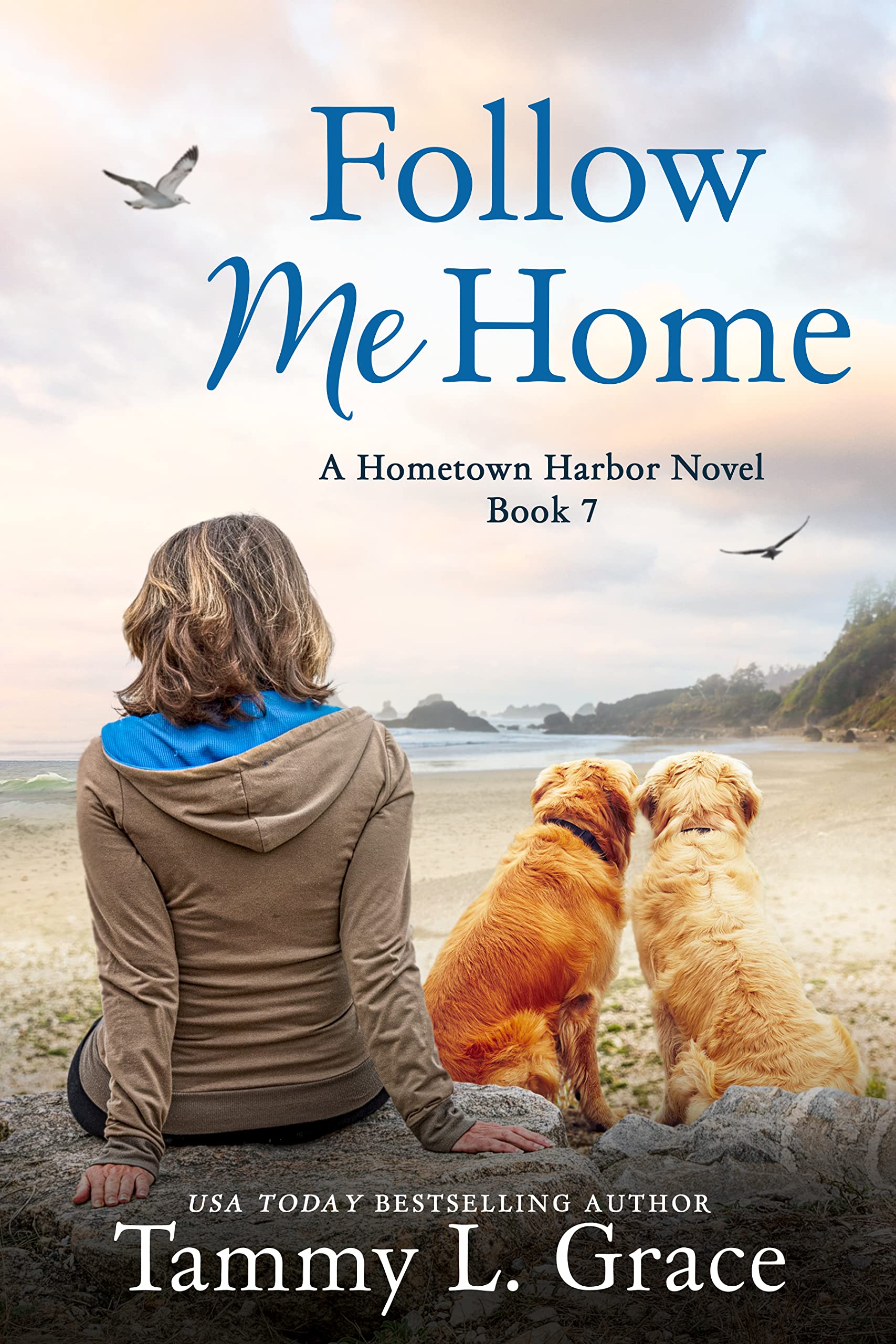 Follow Me Home book cover