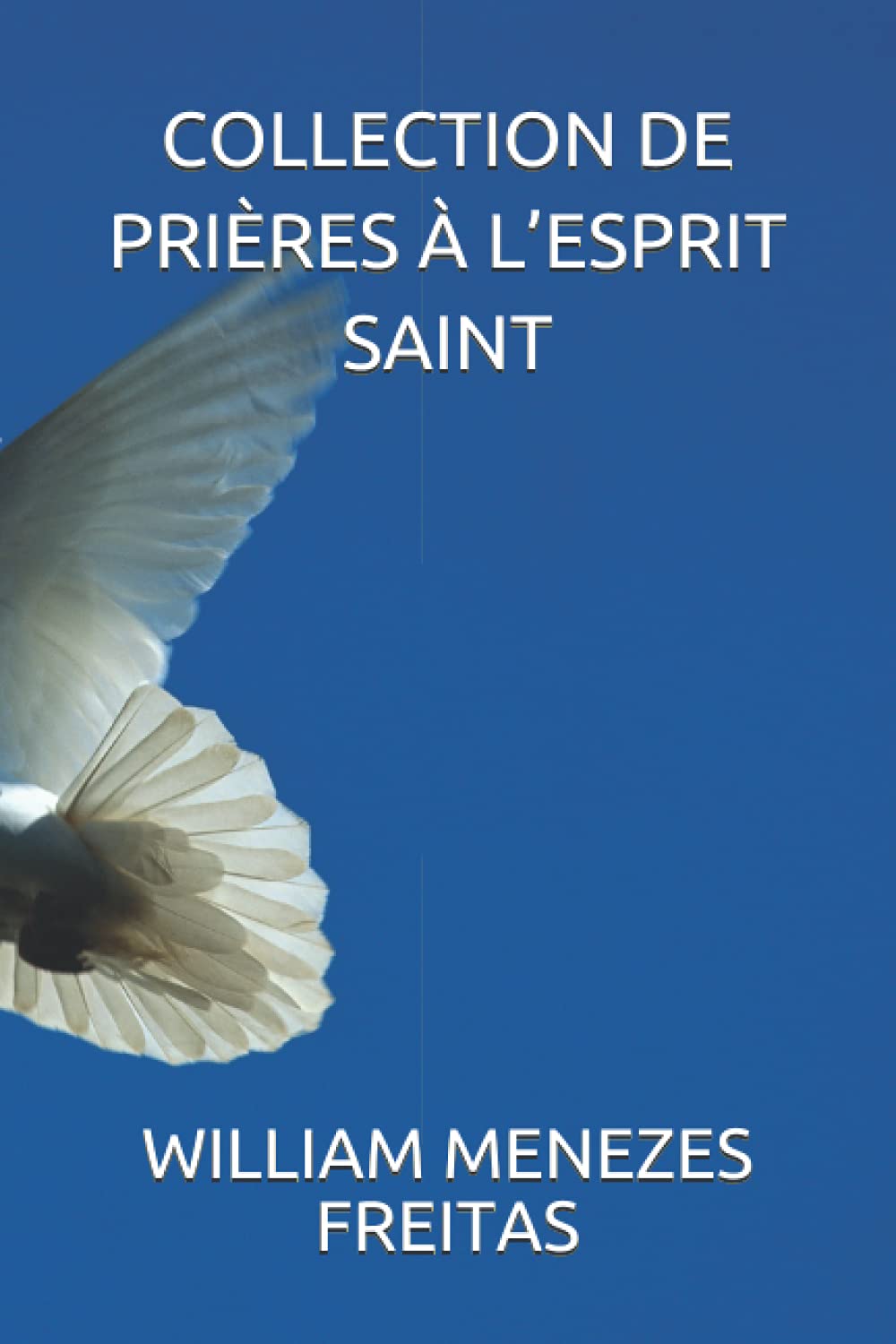 COLLECTION DE PRIÈRES À L’ESPRIT SAINT by William Menezes Freitas