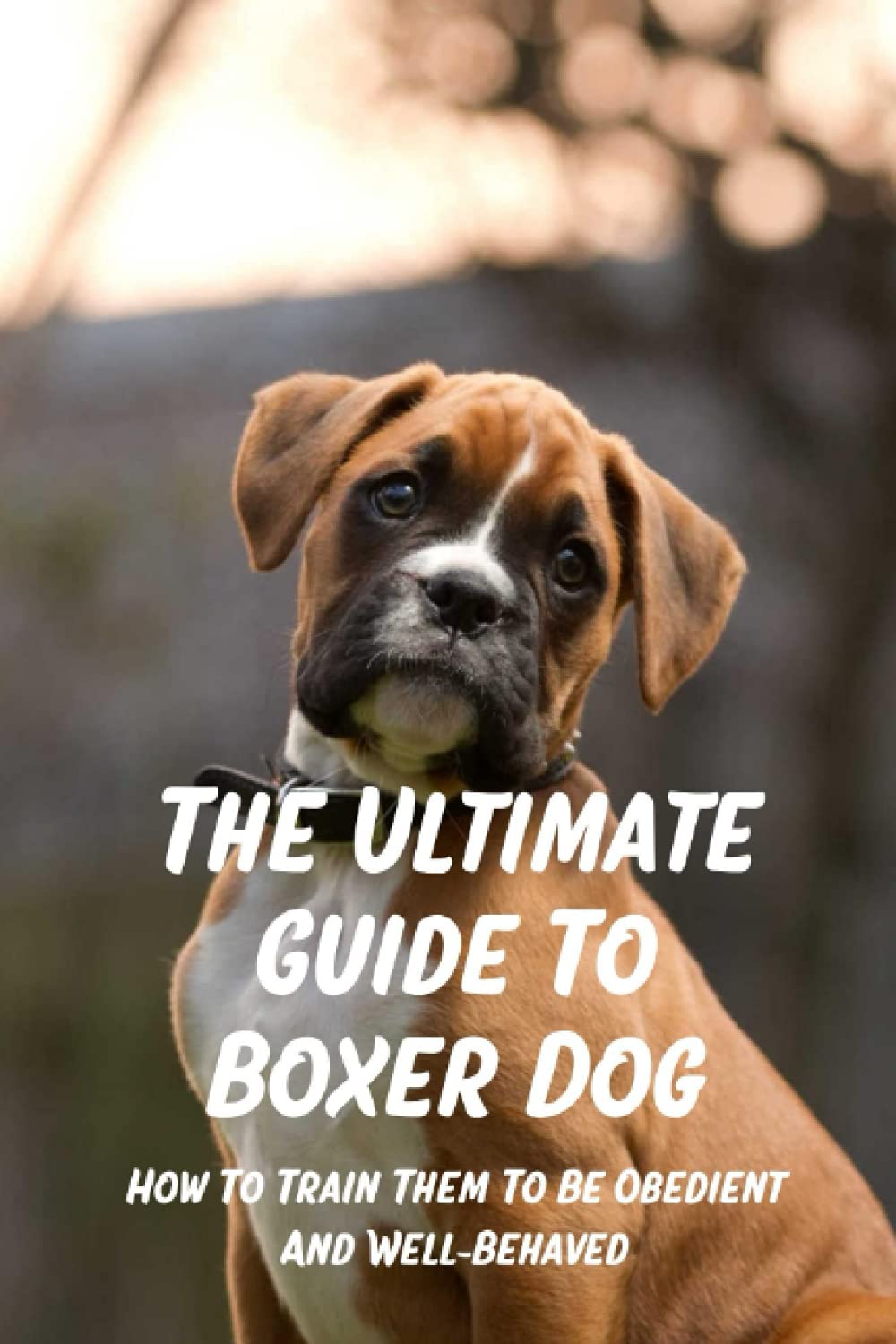The Ultimate Guide To Boxer Dog How To Train Them To Be Obedient And