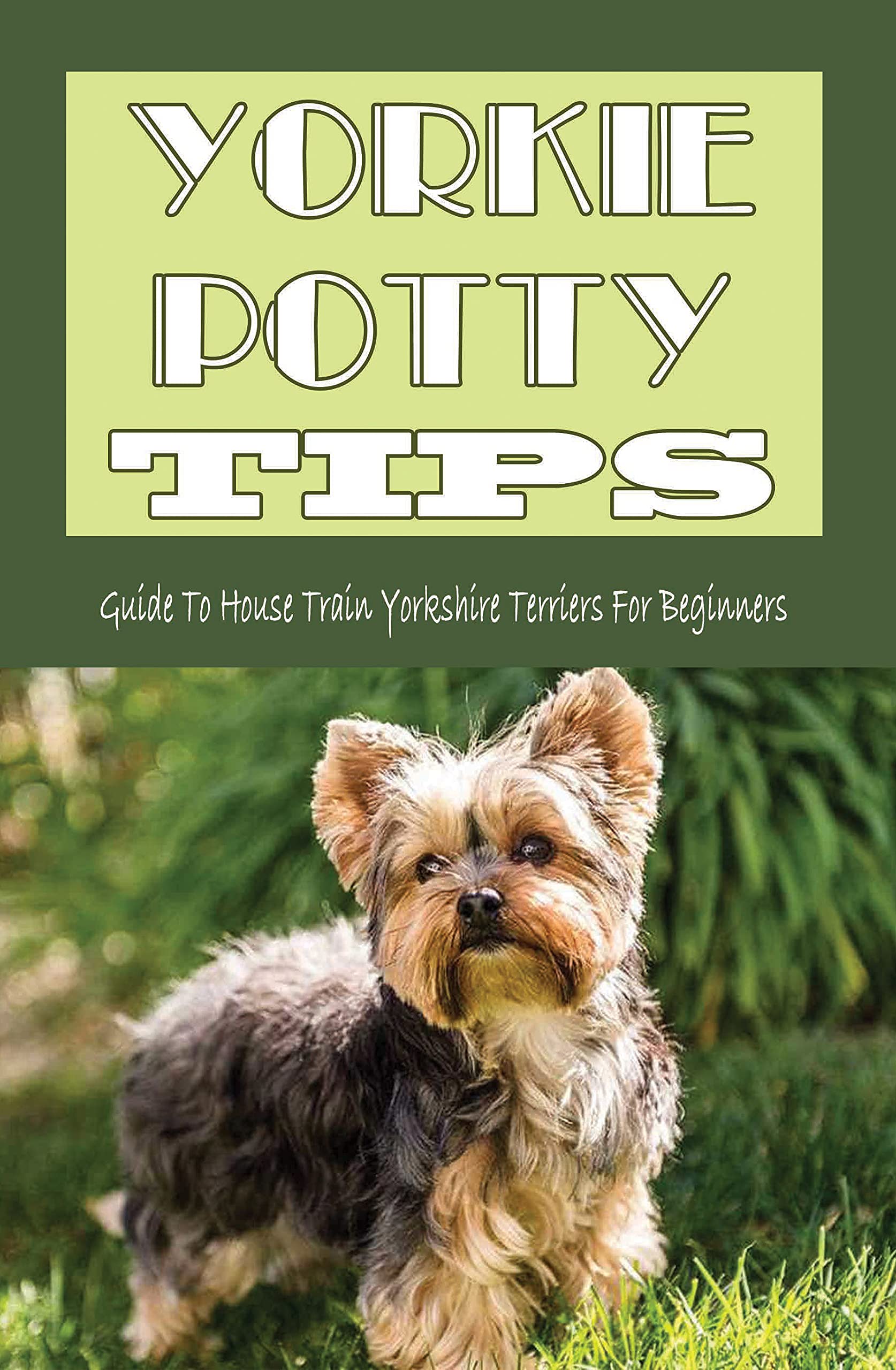 Yorkie Potty Tips Guide To House Train Yorkshire Terriers For