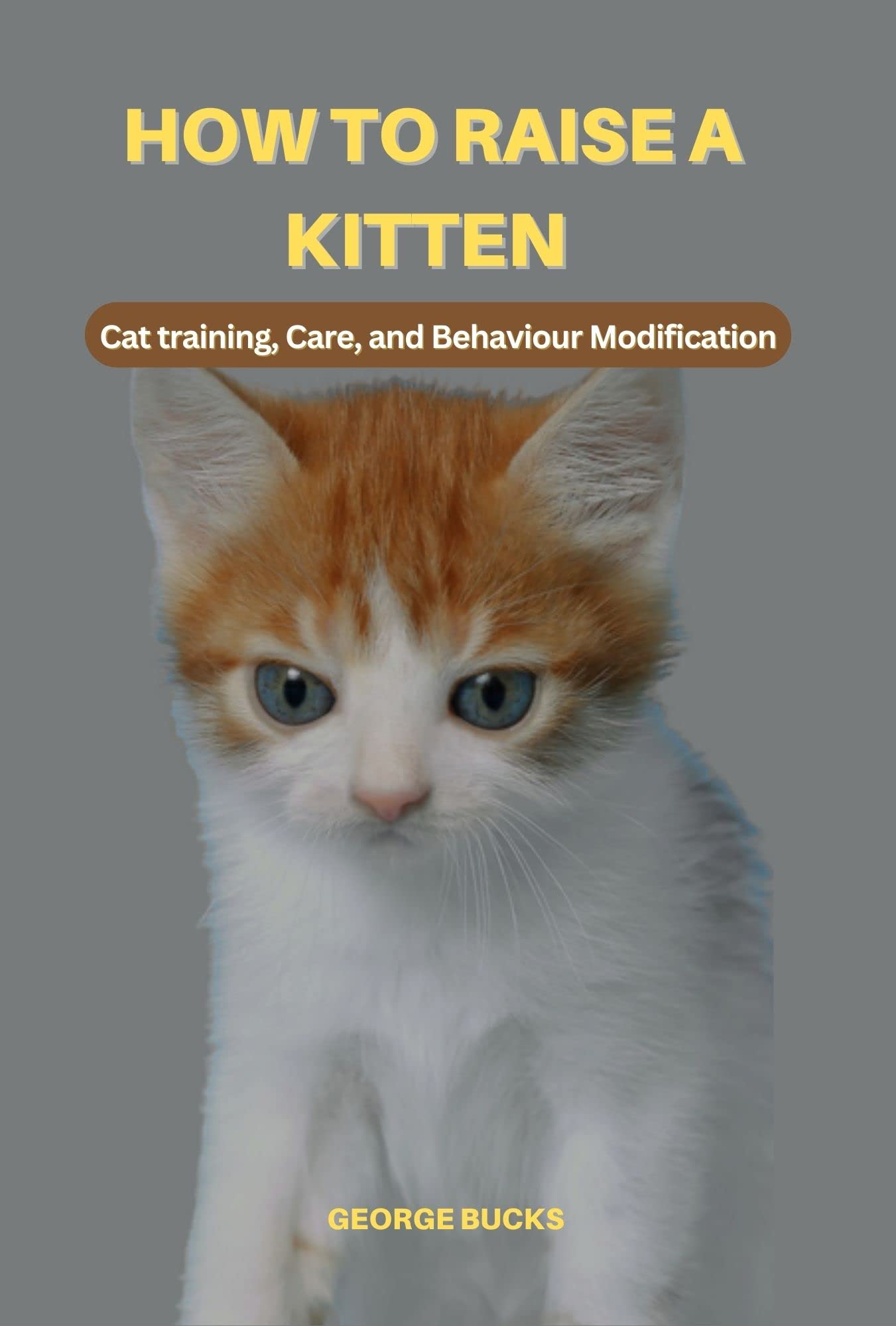 HOW TO RAISE A KITTEN Cat Training, Care, and Behavior Modification by