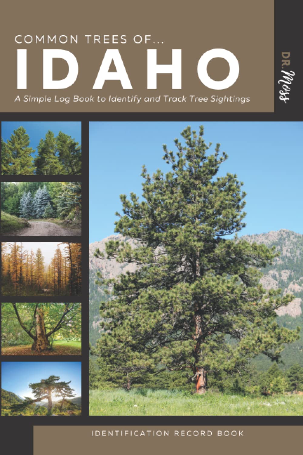 Common Trees of Idaho Identification Record Book A Simple Take Along(04)