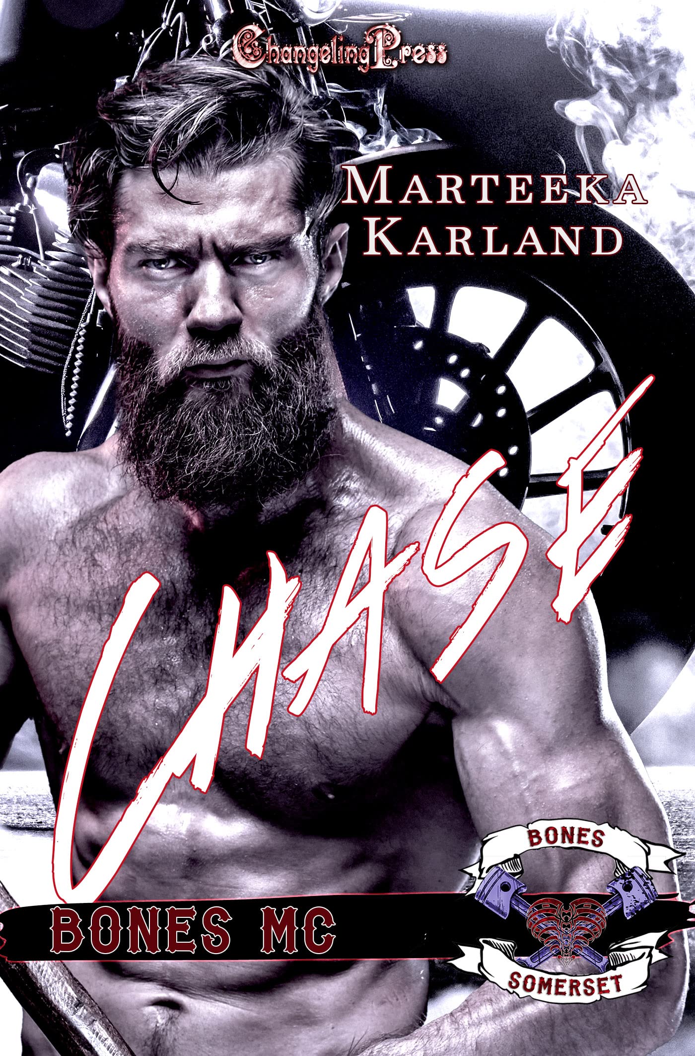 Chase book cover