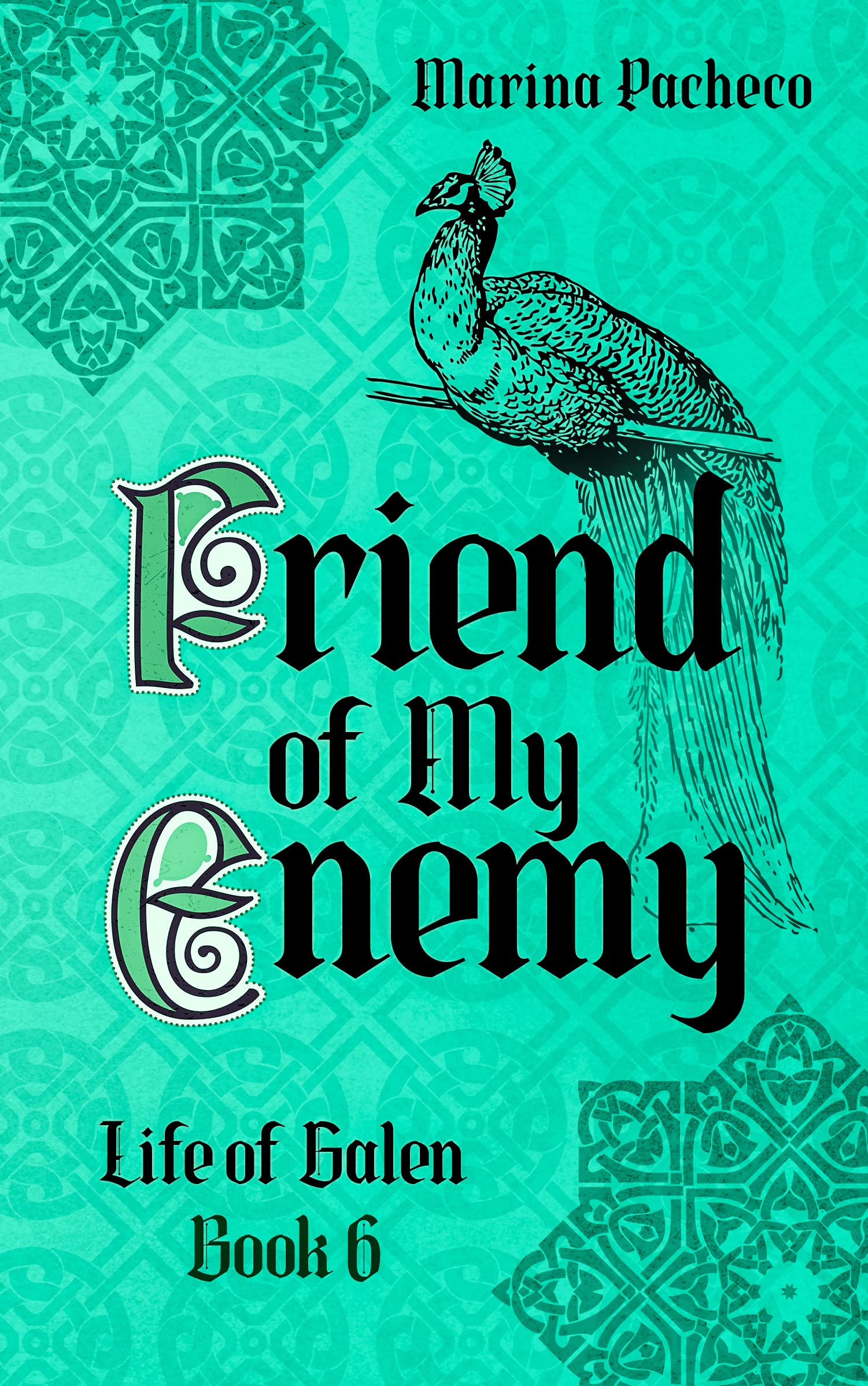 Friend of My Enemy