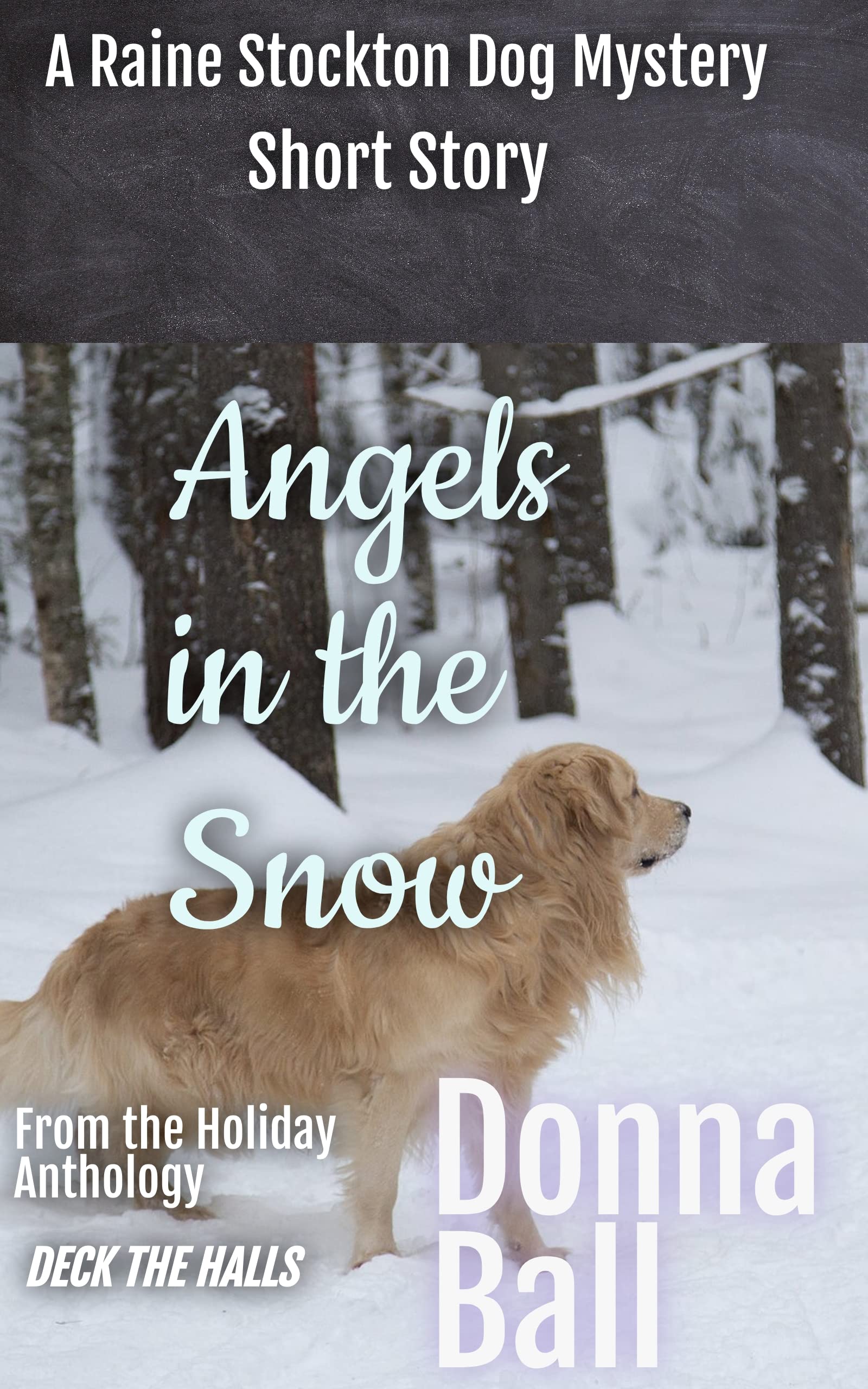 Angels in the Snow book cover