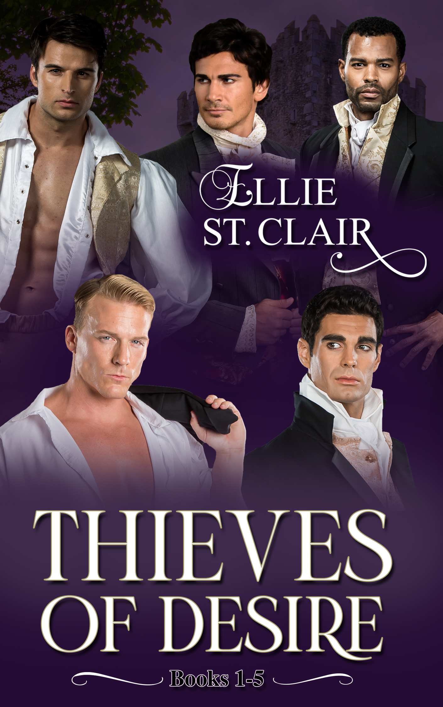 Thieves of Desire Box Set