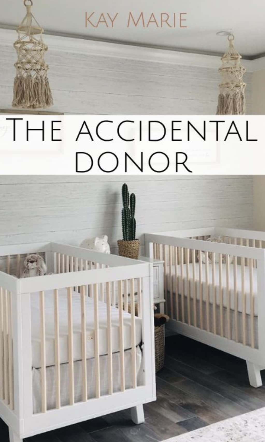 The Accidental Donor: M/M Mpreg
