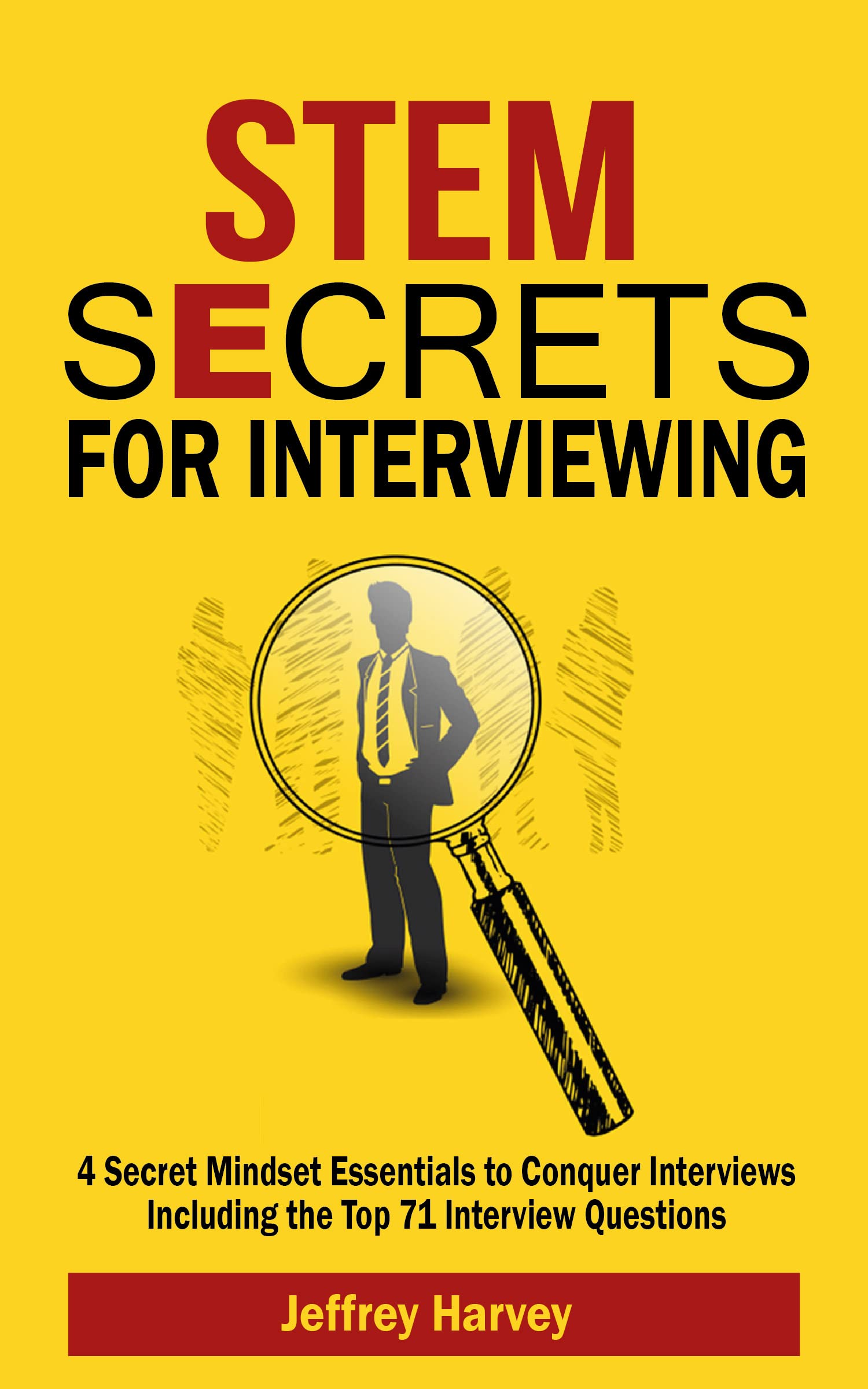 STEM Secrets for Interviewing: 4 Secret Mindsets Essentials to Conquer ...