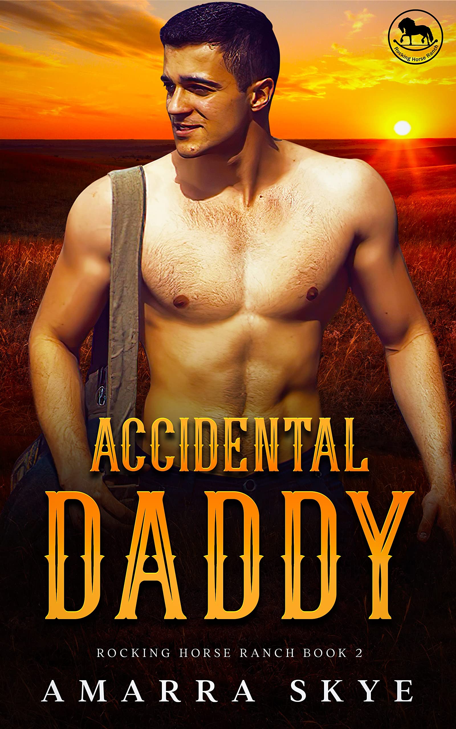 Accidental Daddy book cover